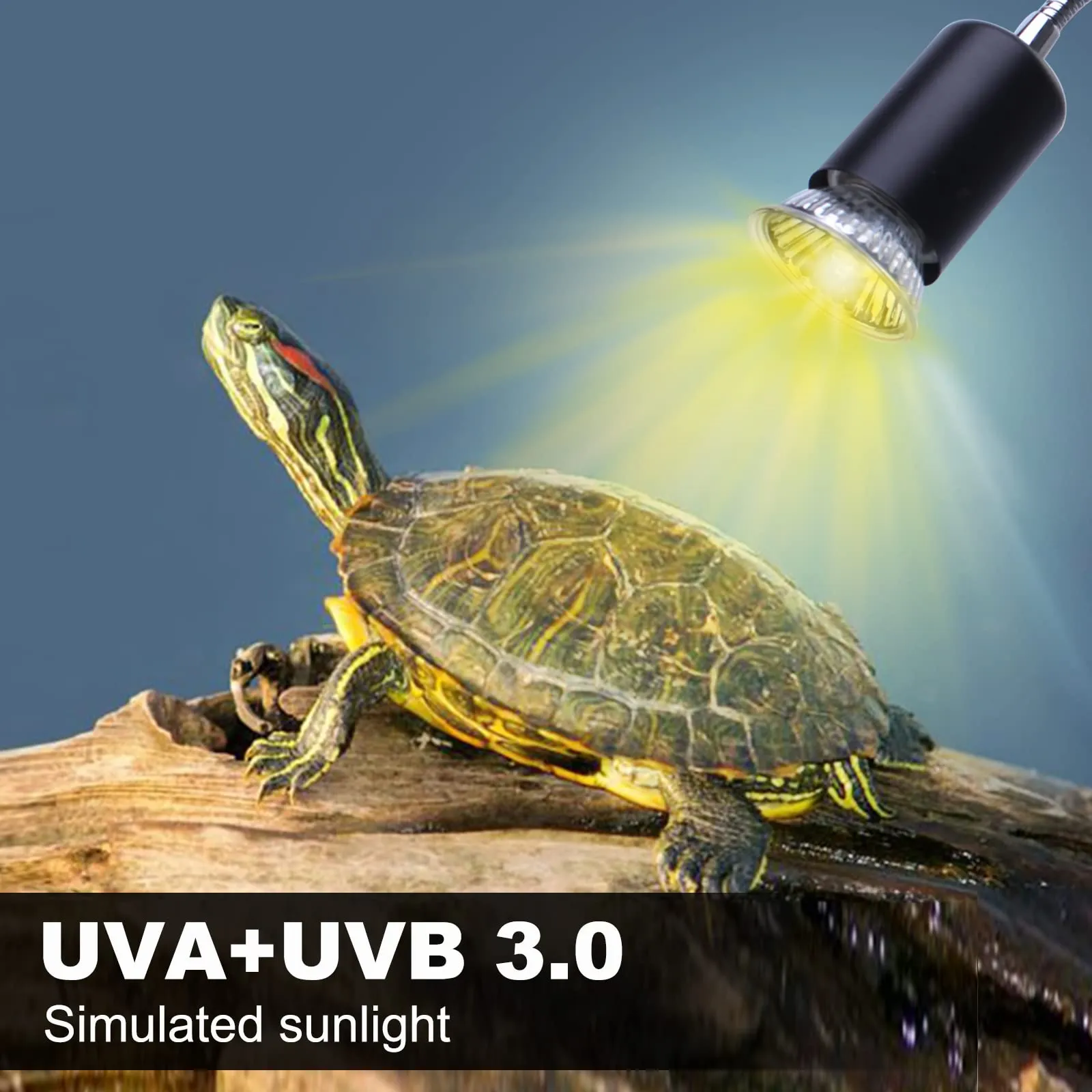 PewinGo Lampada UVB per Tartarughe, Rettili e Anfibi con Lampadina UVA UVB 50W, Punto Basking e Morsetto Girevole a 360° - immagine 6