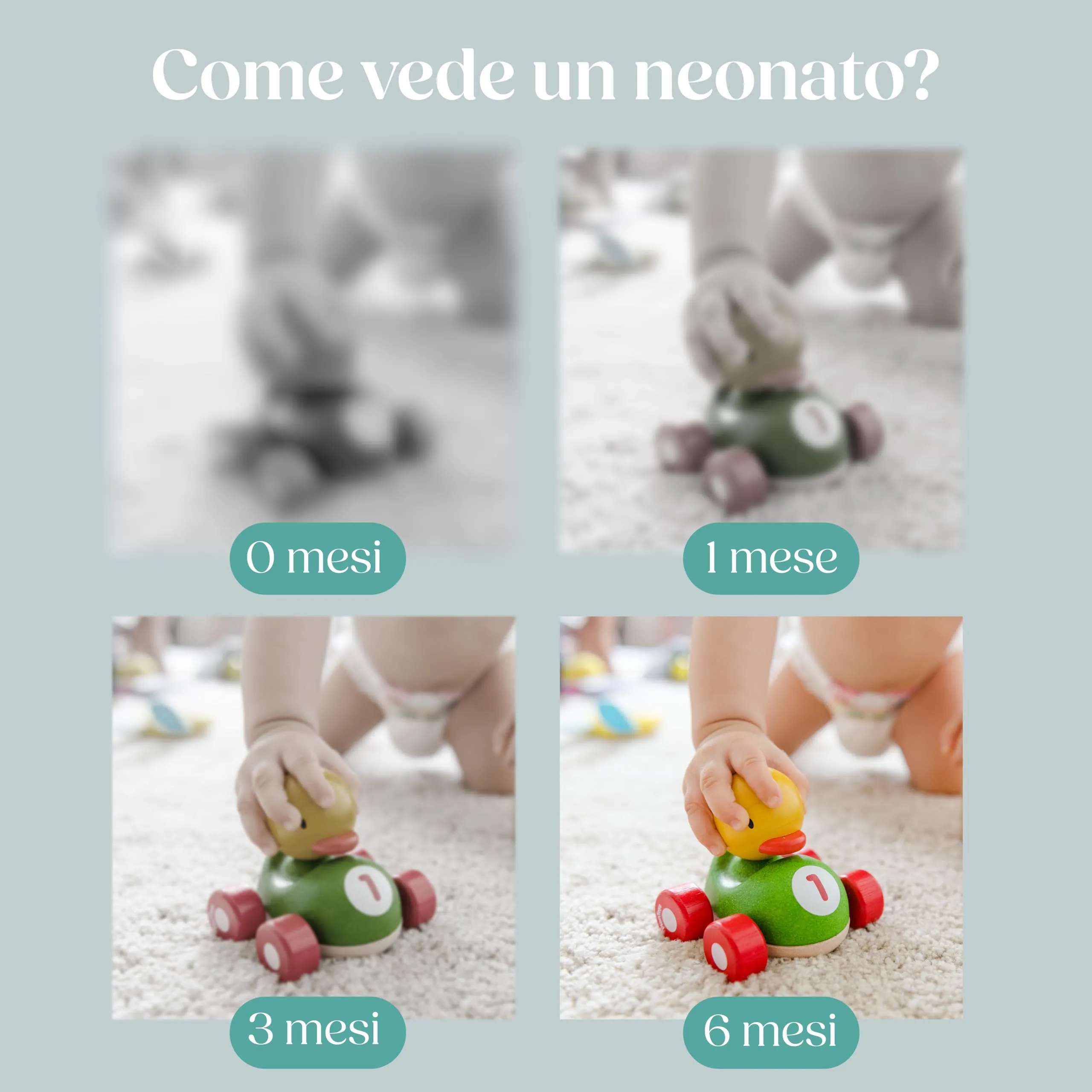 Wellode Libro Sensoriale in Stoffa per Neonati, Bianco e Nero ad Alto Contrasto - immagine 5