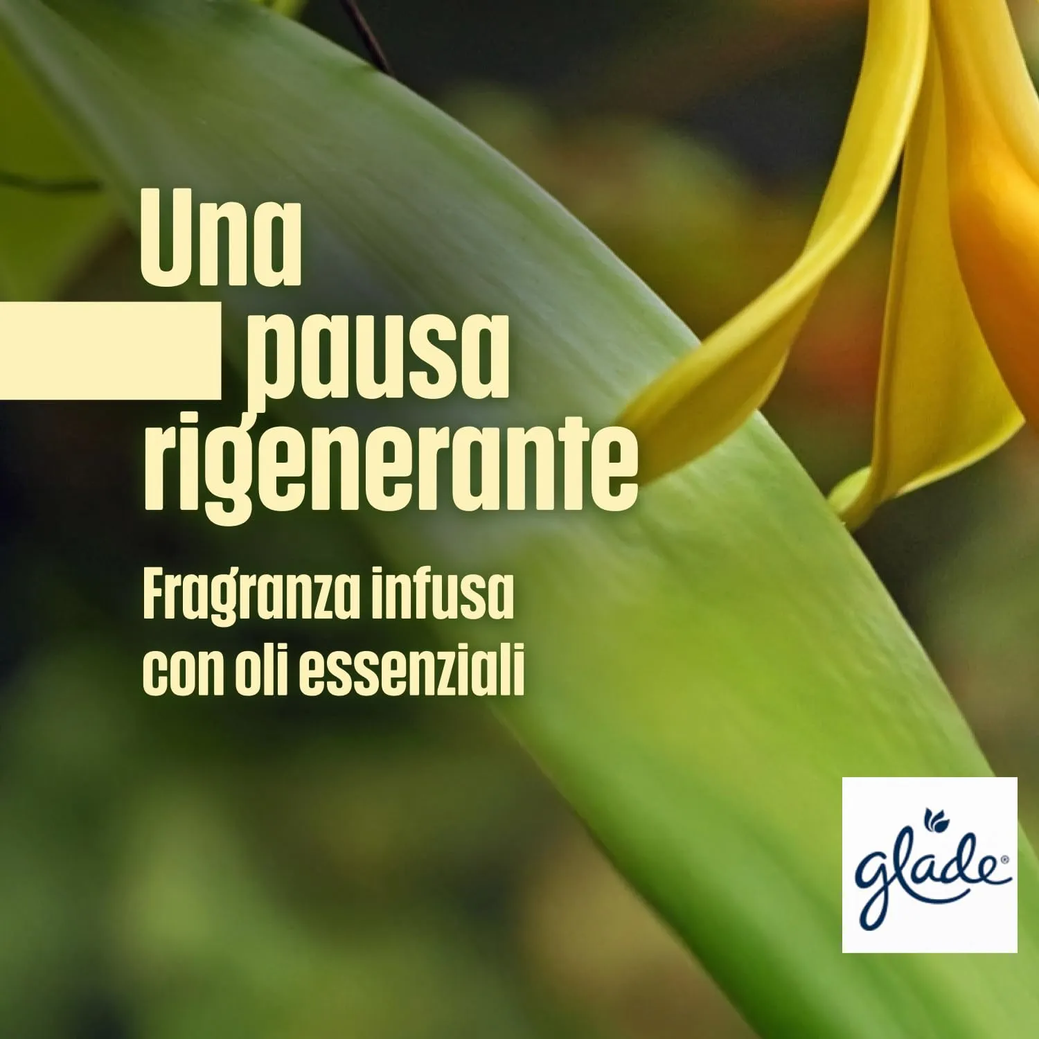 Glade Profumatore per Ambienti a Bastoncini, Vanilla Blossom, 3 x 50ml - immagine 7