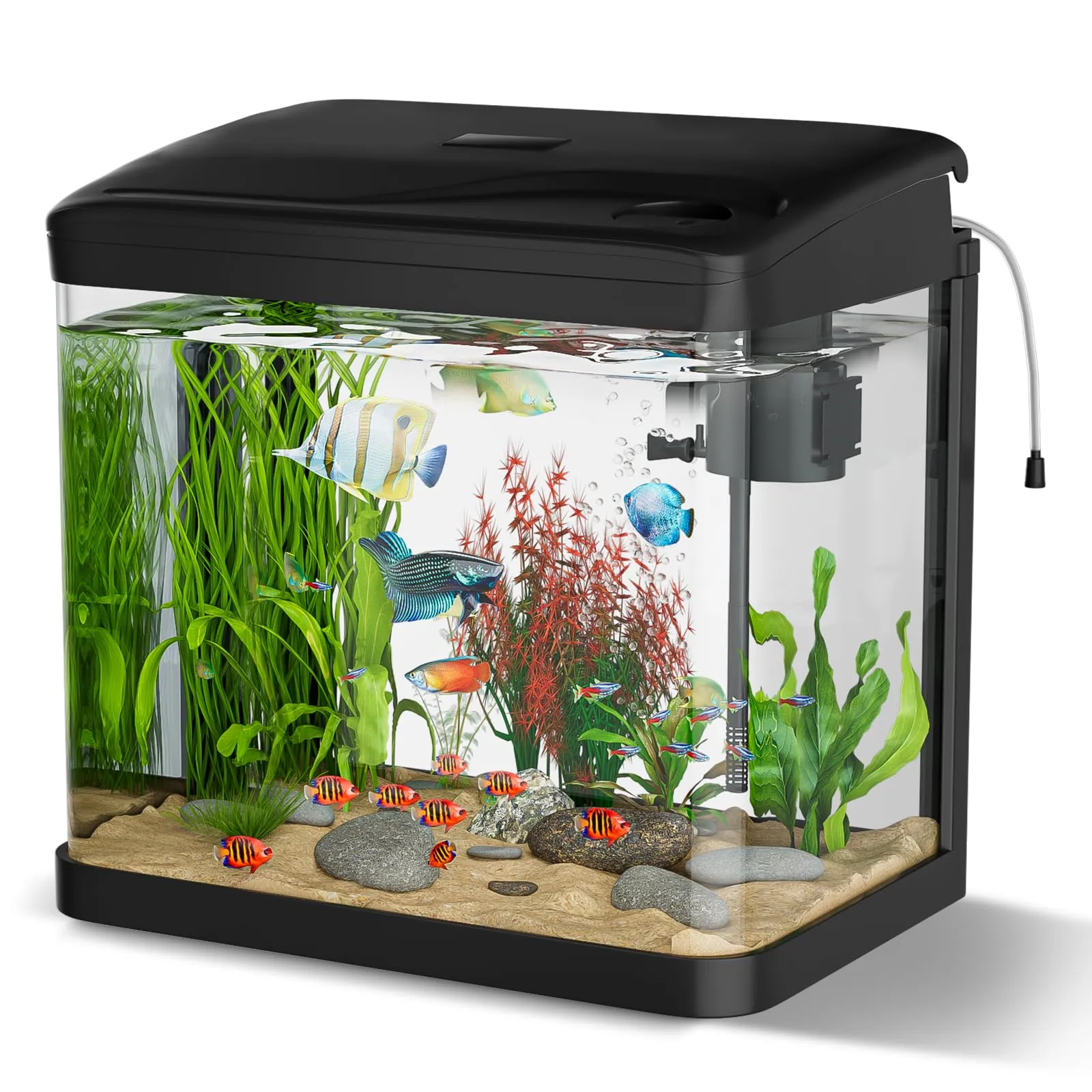 GuKKK Mini Acquario Completo in Vetro con Illuminazione a LED e Sistema di Filtraggio, 6L, Nero - immagine 1