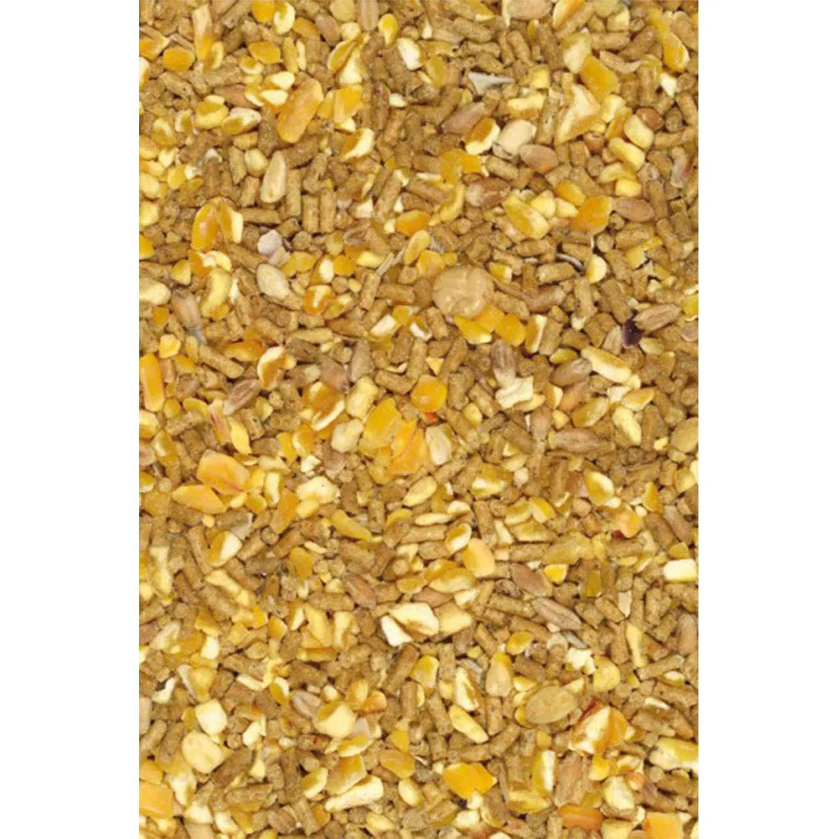 Giuntini Linea Agri Coccodoro Mangime per Galline Ovaiole, Micronizzato, con Granaglia, Gusci d'Ostriche ed Erba Medica, No OGM, No Coccidiostatico, 25kg - immagine 2