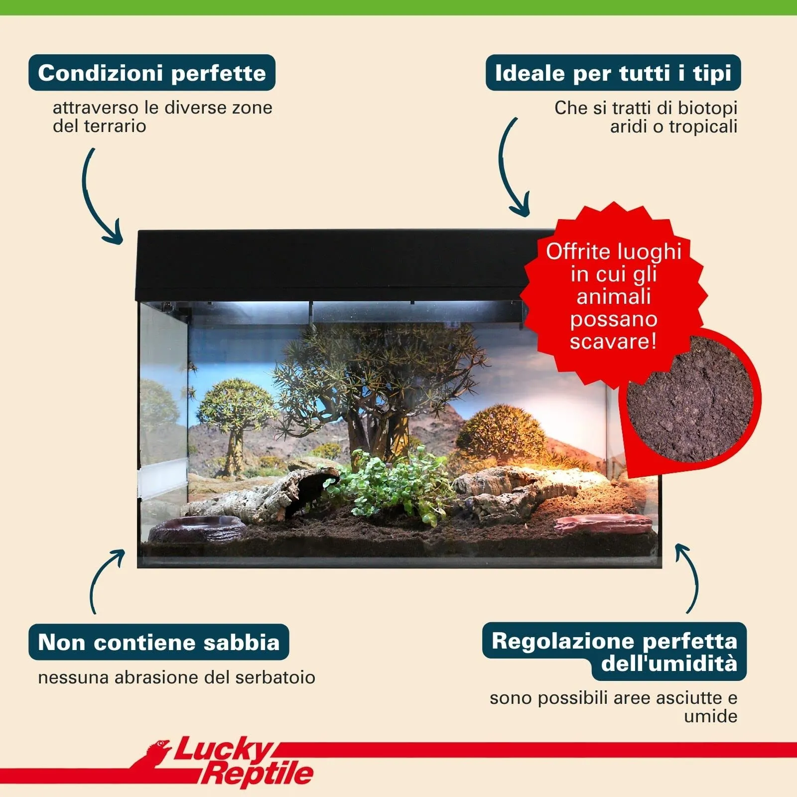 Lucky Reptile 65131 Terriccio di substrato per tartarughe da terra, 20 litri, Brown - immagine 6