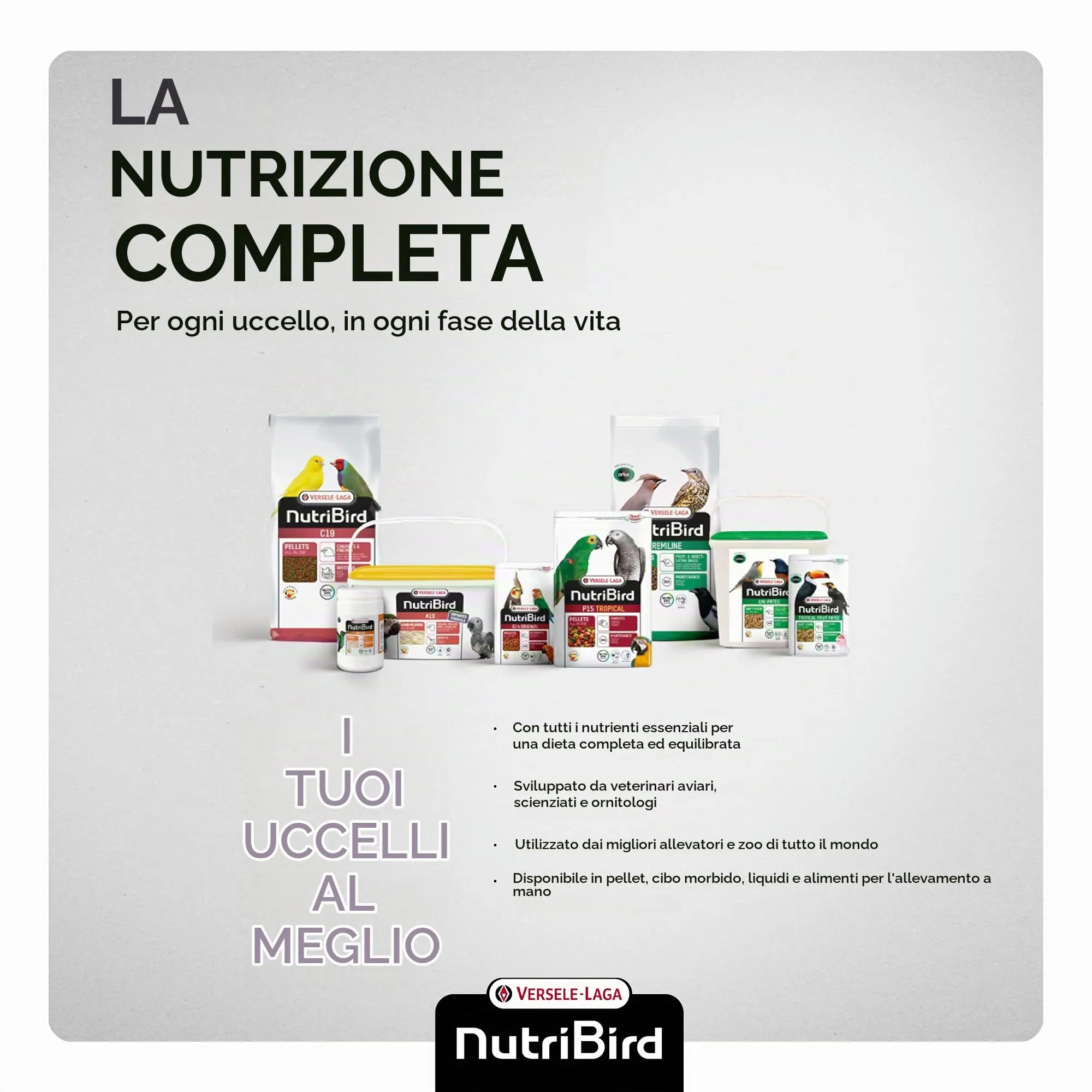 Versele-Laga Purlori 3 kg - immagine 7