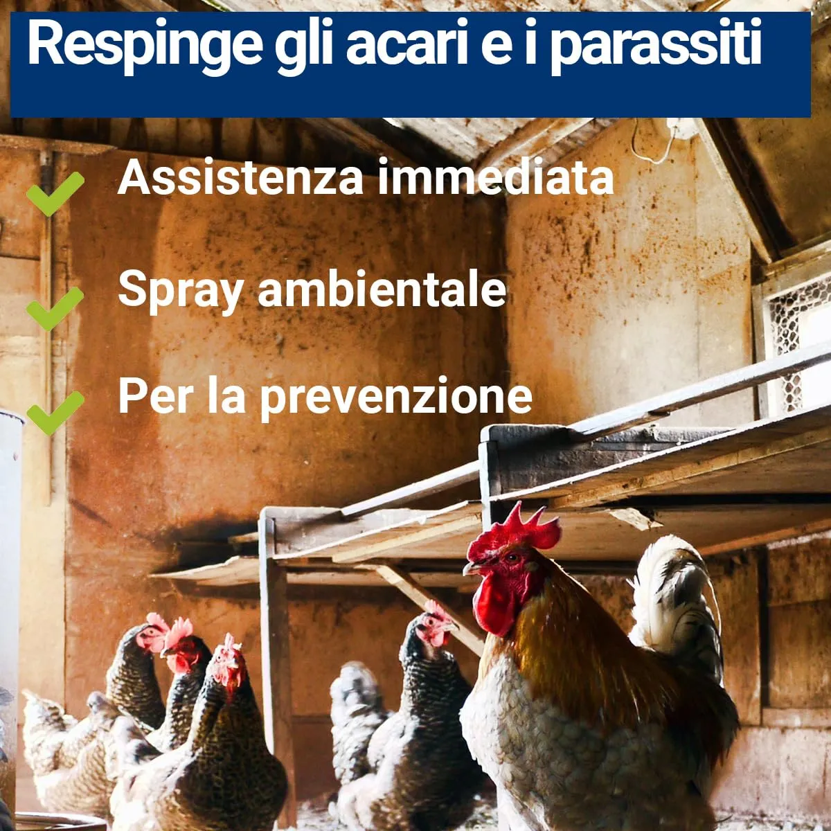 BMUT Spray Antiacaro per Pollame e Uccelli, 1000 ml - immagine 3
