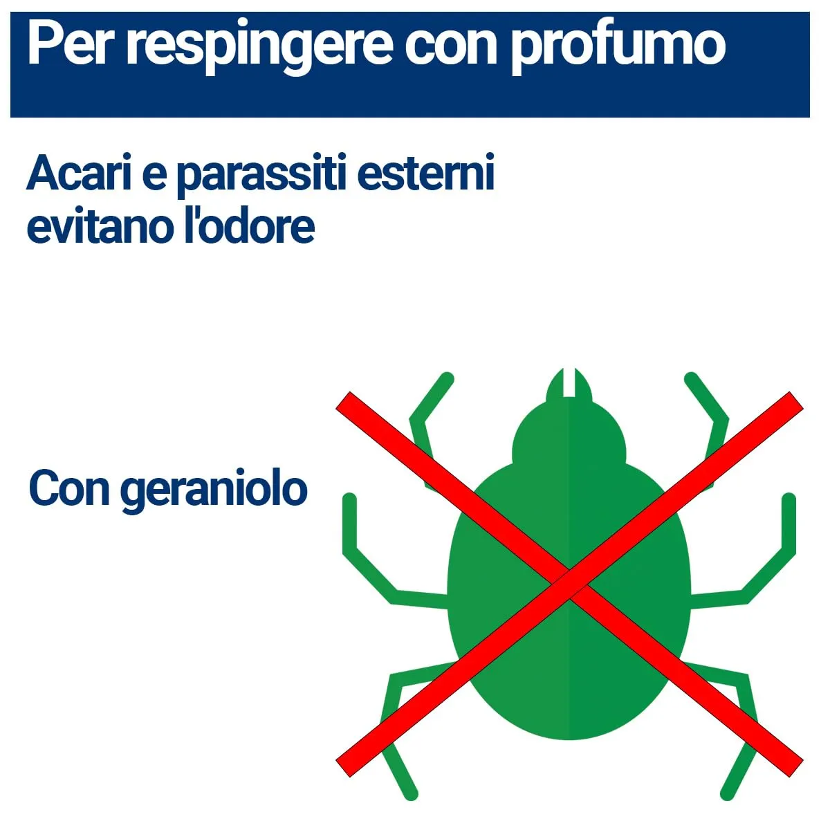 BMUT Spray Antiacaro per Pollame e Uccelli, 1000 ml - immagine 4