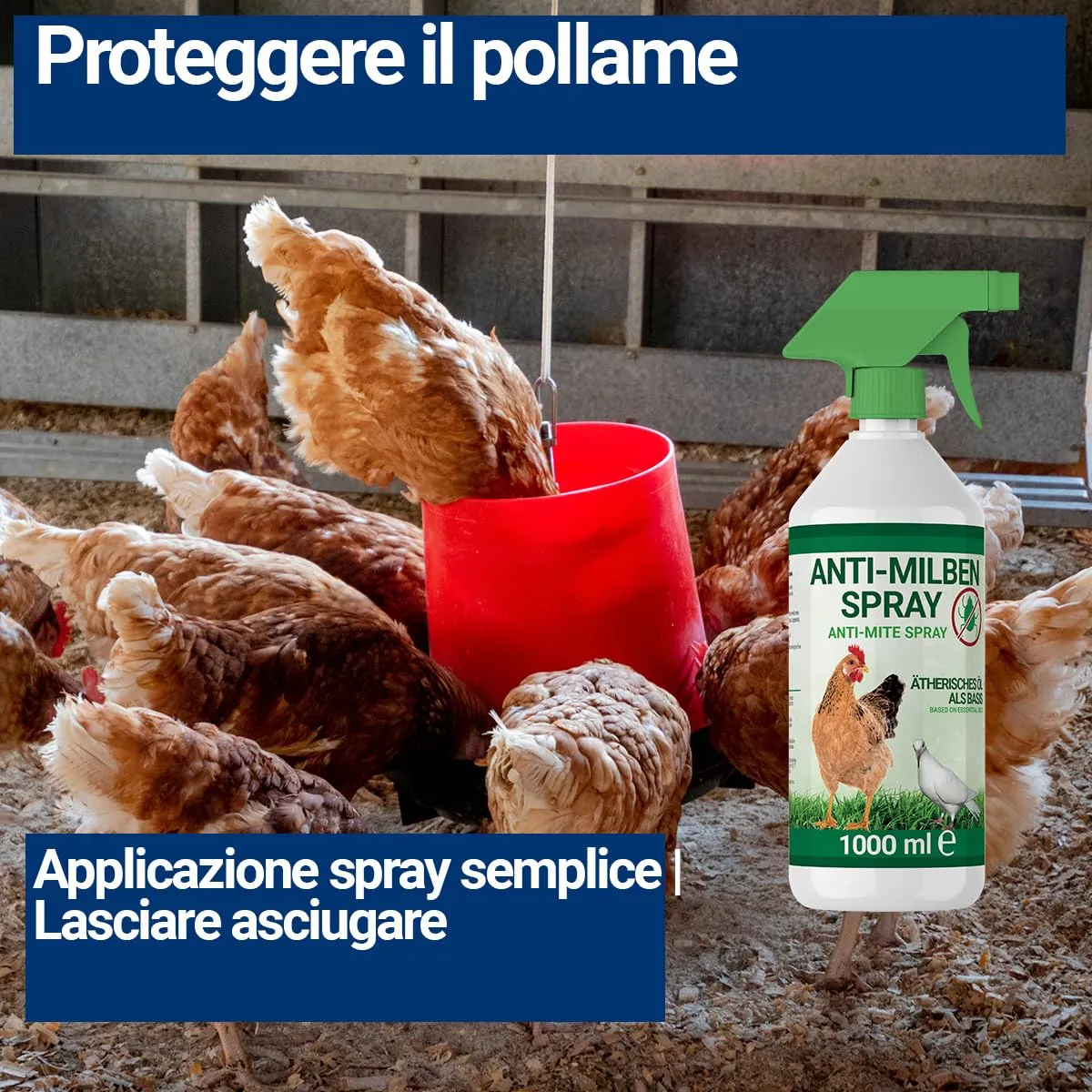 BMUT Spray Antiacaro per Pollame e Uccelli, 1000 ml - immagine 5