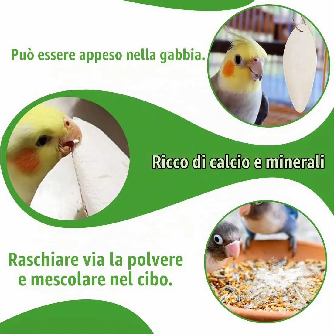 GXGM 6 Ossi di Seppia Naturali con 3 Supporti in Metallo per Uccelli, Tartarughe e Pappagalli - immagine 3