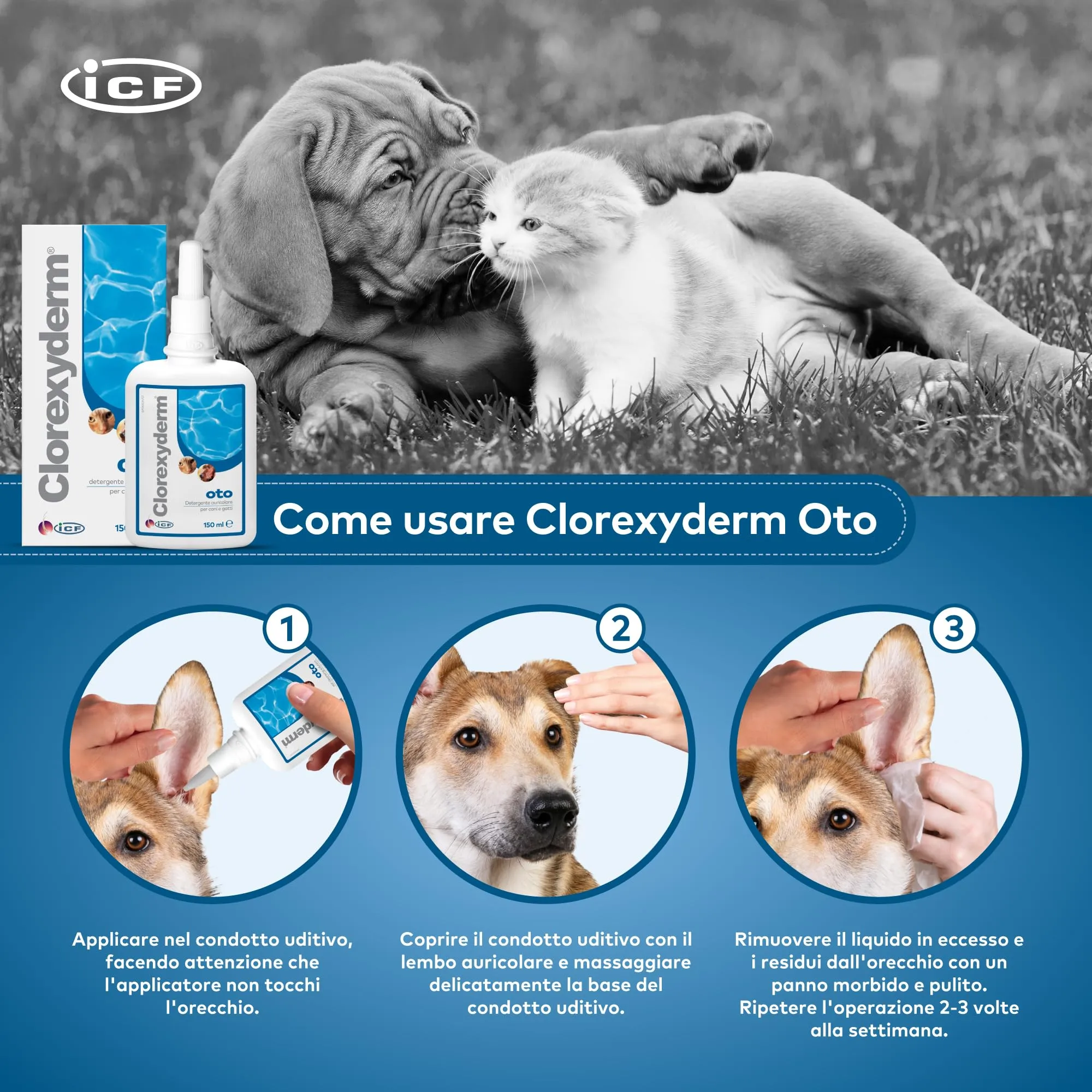 ICF Clorexyderm OTO, Soluzione per la Pulizia delle Orecchie di Cani e Gatti, 150 ml - immagine 3