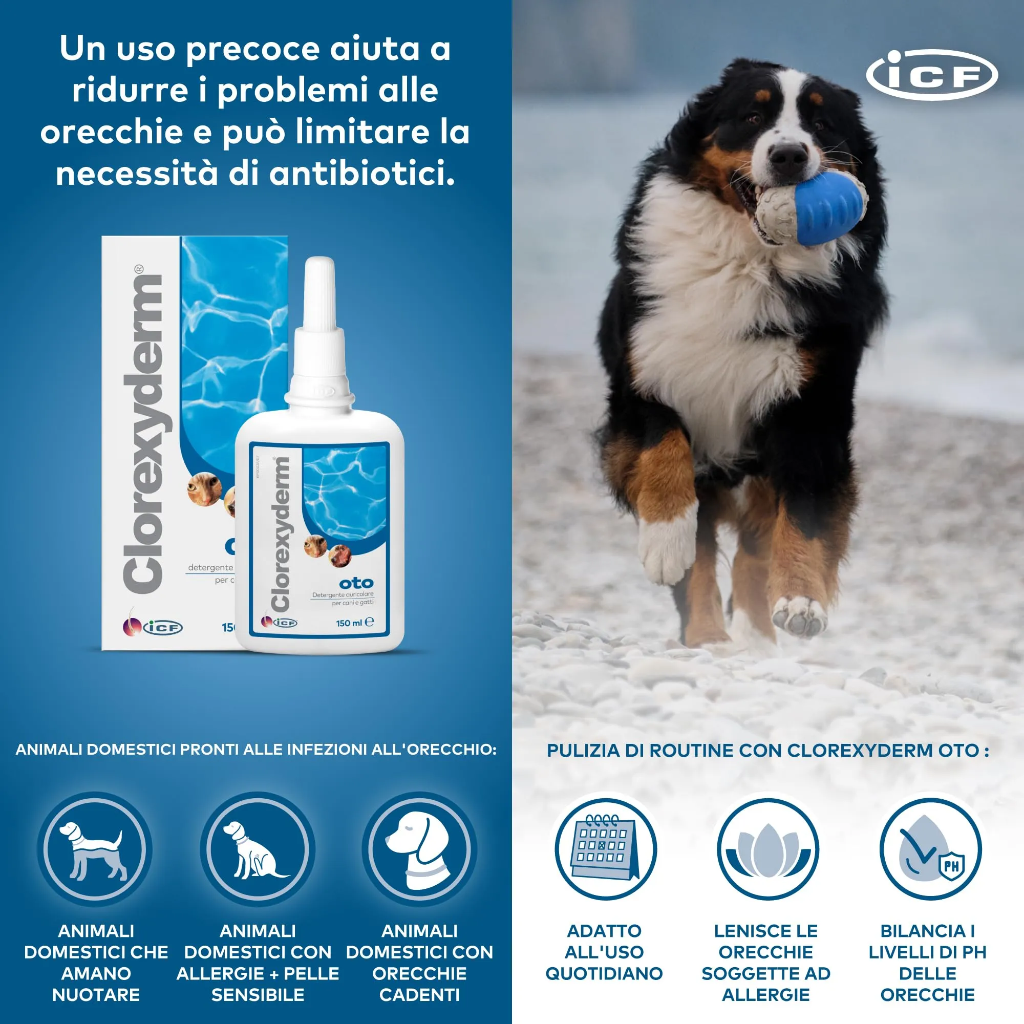 ICF Clorexyderm OTO, Soluzione per la Pulizia delle Orecchie di Cani e Gatti, 150 ml - immagine 5