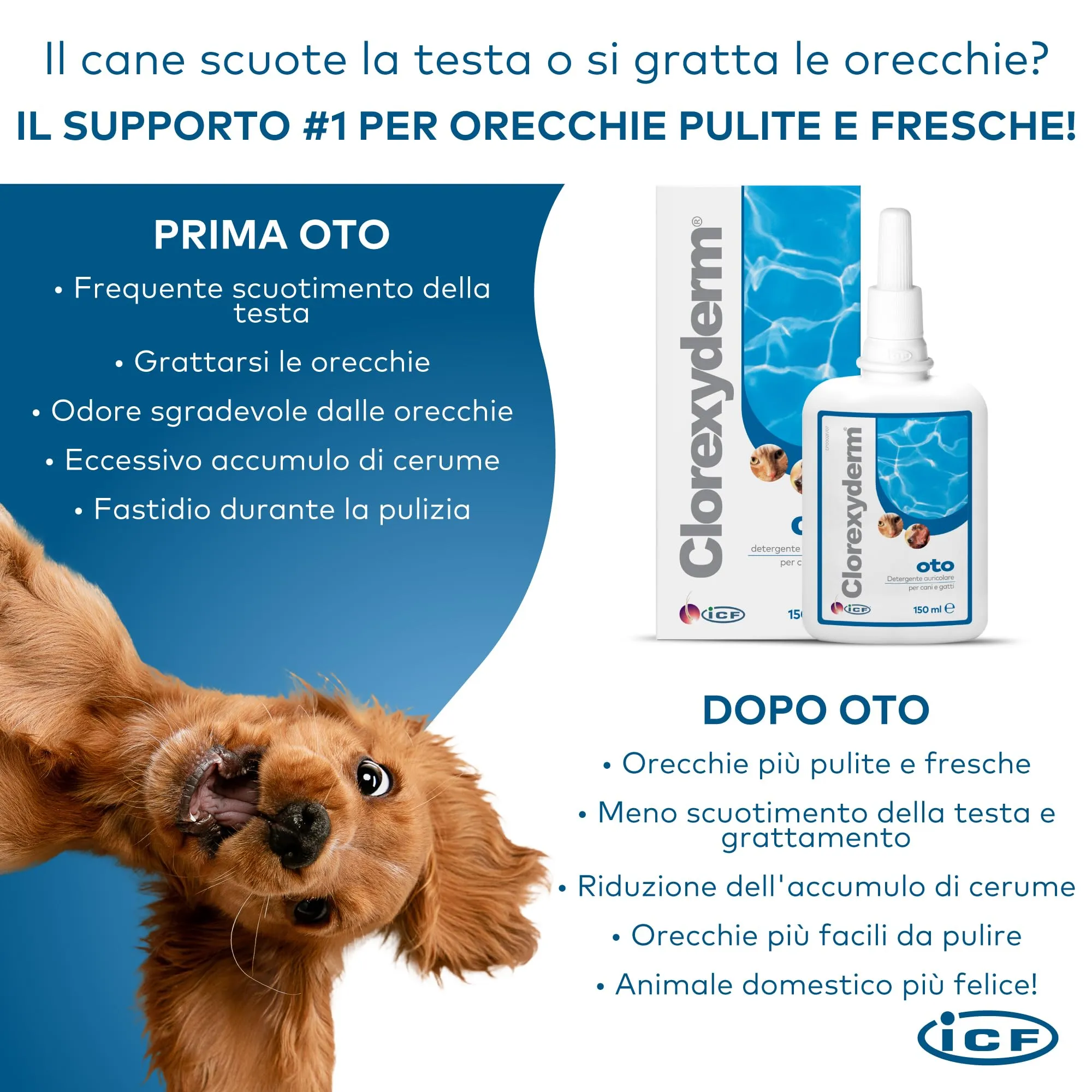 ICF Clorexyderm OTO, Soluzione per la Pulizia delle Orecchie di Cani e Gatti, 150 ml - immagine 8