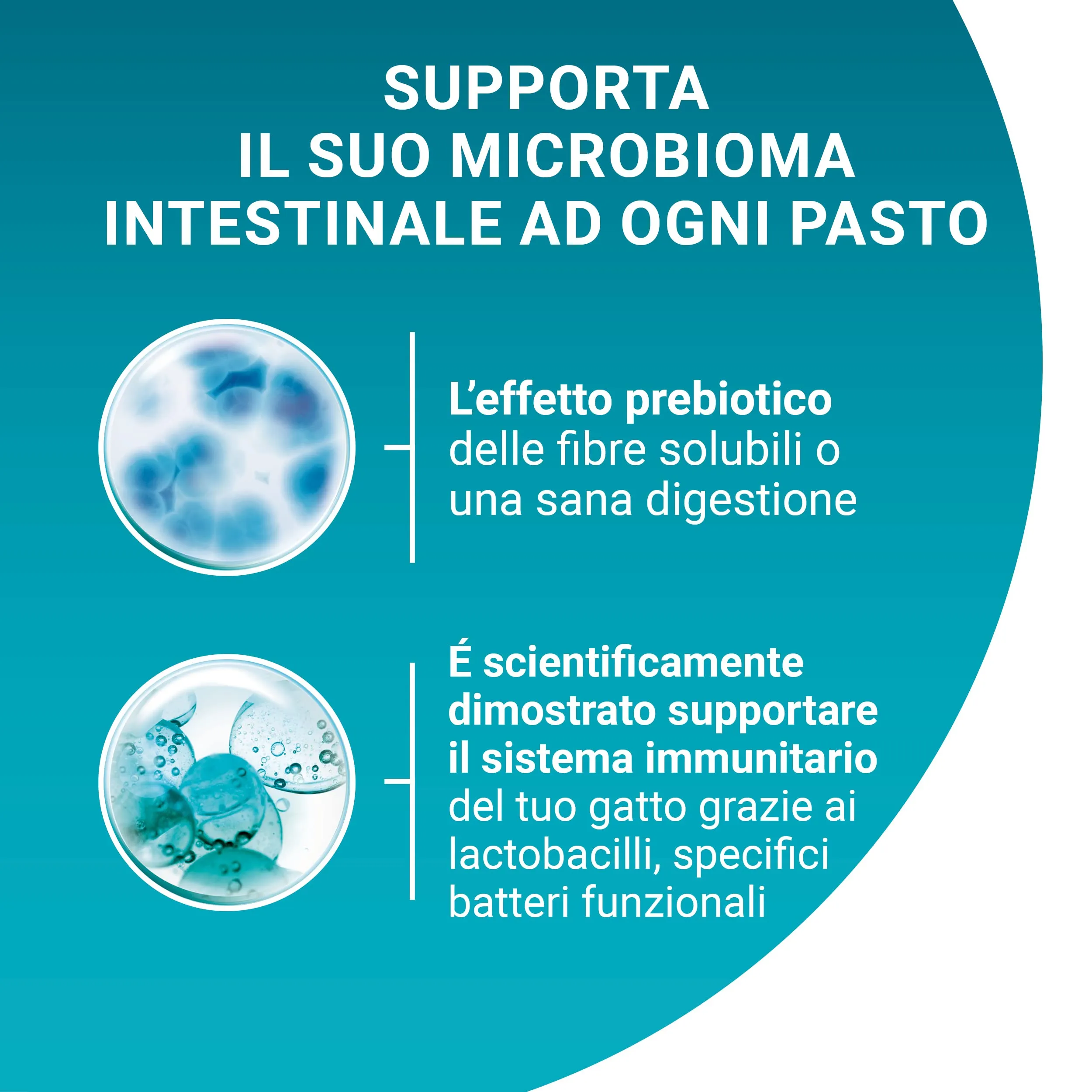 Purina One Junior Cibo Umido per Gattini, 48 Bustine da 85 g - immagine 6