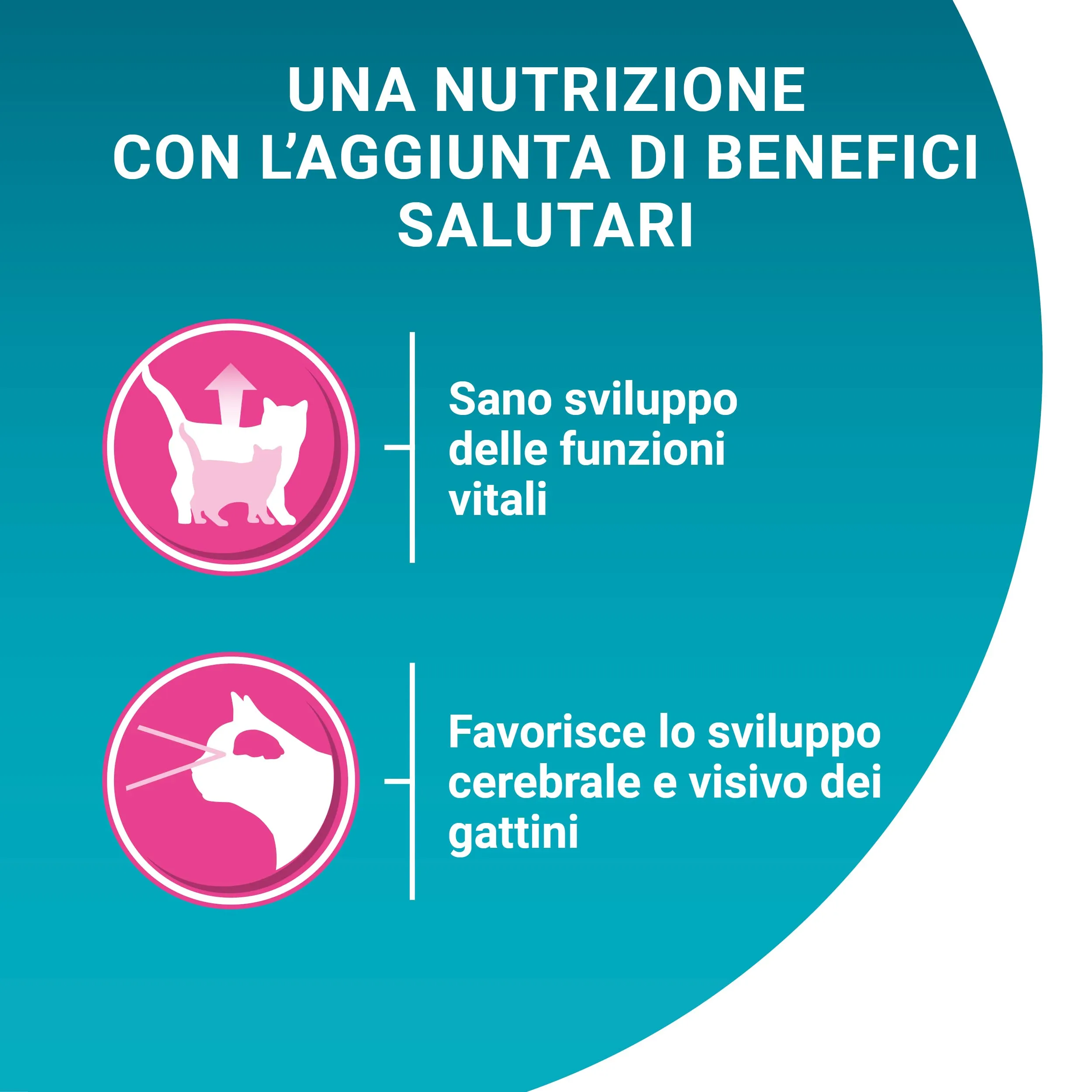 Purina One Junior Cibo Umido per Gattini, 48 Bustine da 85 g - immagine 7