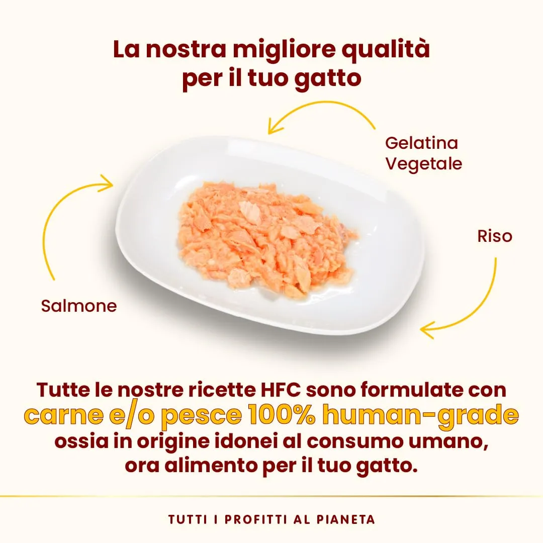 Almo Nature HFC Jelly Salmone Alimento Umido per Gatti Adulti 70g (Confezione da 6) - immagine 6