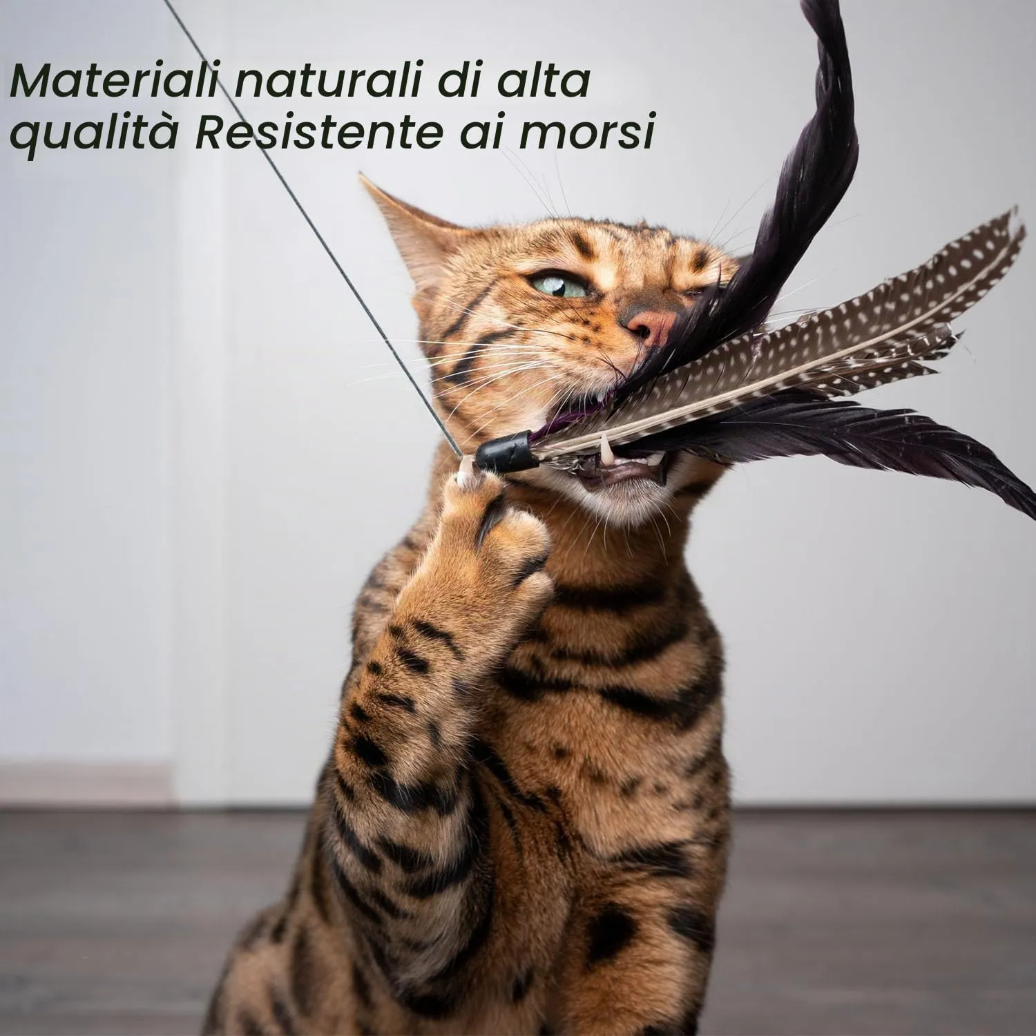 MAIYADUO Giocattolo Interattivo per Gatti con Bacchetta Retrattile e 5 Piume Assortite - immagine 3