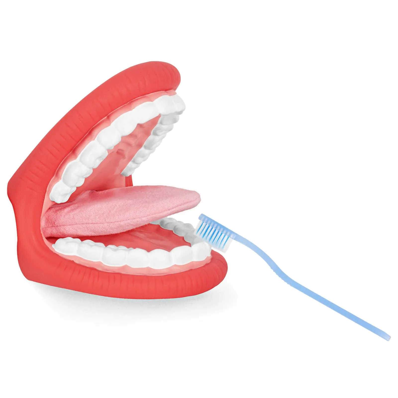 Ultrassist Marionetta a Bocca Grande con Lingua e Spazzolino da Denti per Logopedia e Igiene Orale - immagine 6