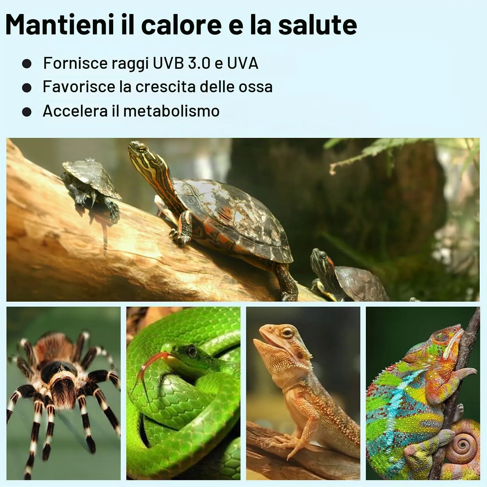PewinGo Lampada UVA UVB per Rettili e Anfibi con 2 Lampadine e Morsetto Girevole a 360° - immagine 2