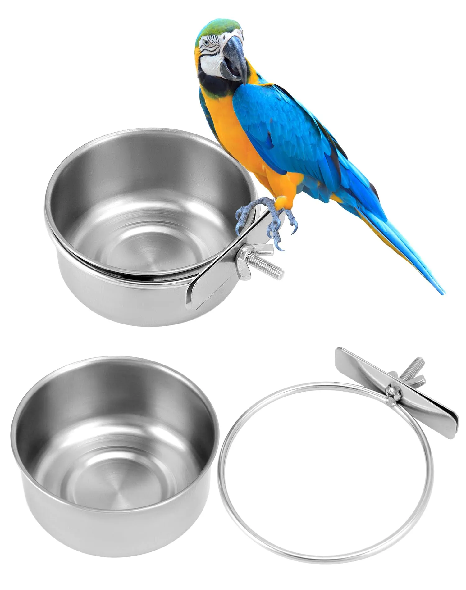QWORK Set di 2 Ciotole in Acciaio Inox per Uccelli e Piccoli Animali (10x4.5 cm) - immagine 3