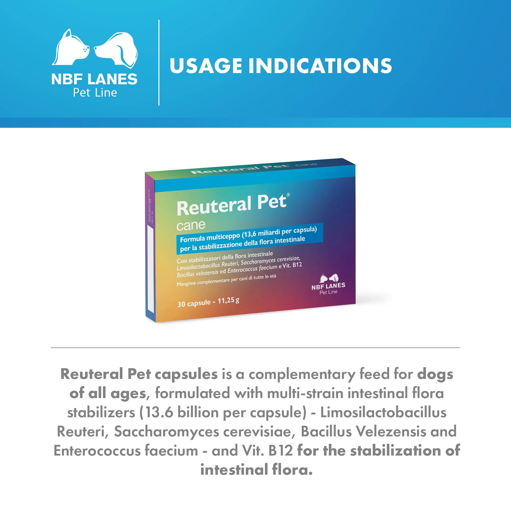 NBF Lanes Reuteral Pet Cane, 30 Capsule, Probiotico per la Flora Intestinale dei Cani - immagine 3