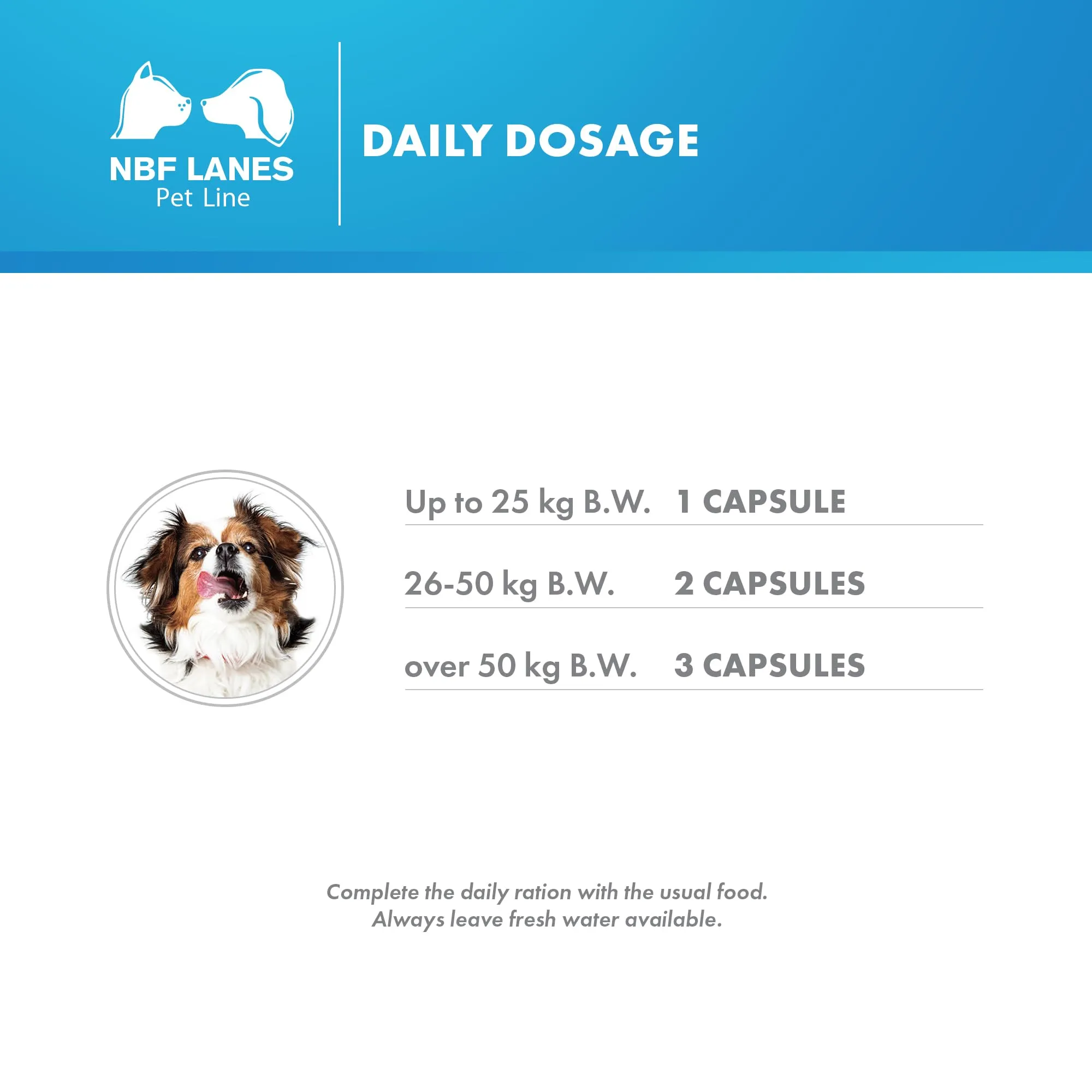 NBF Lanes Reuteral Pet Cane, 30 Capsule, Probiotico per la Flora Intestinale dei Cani - immagine 4