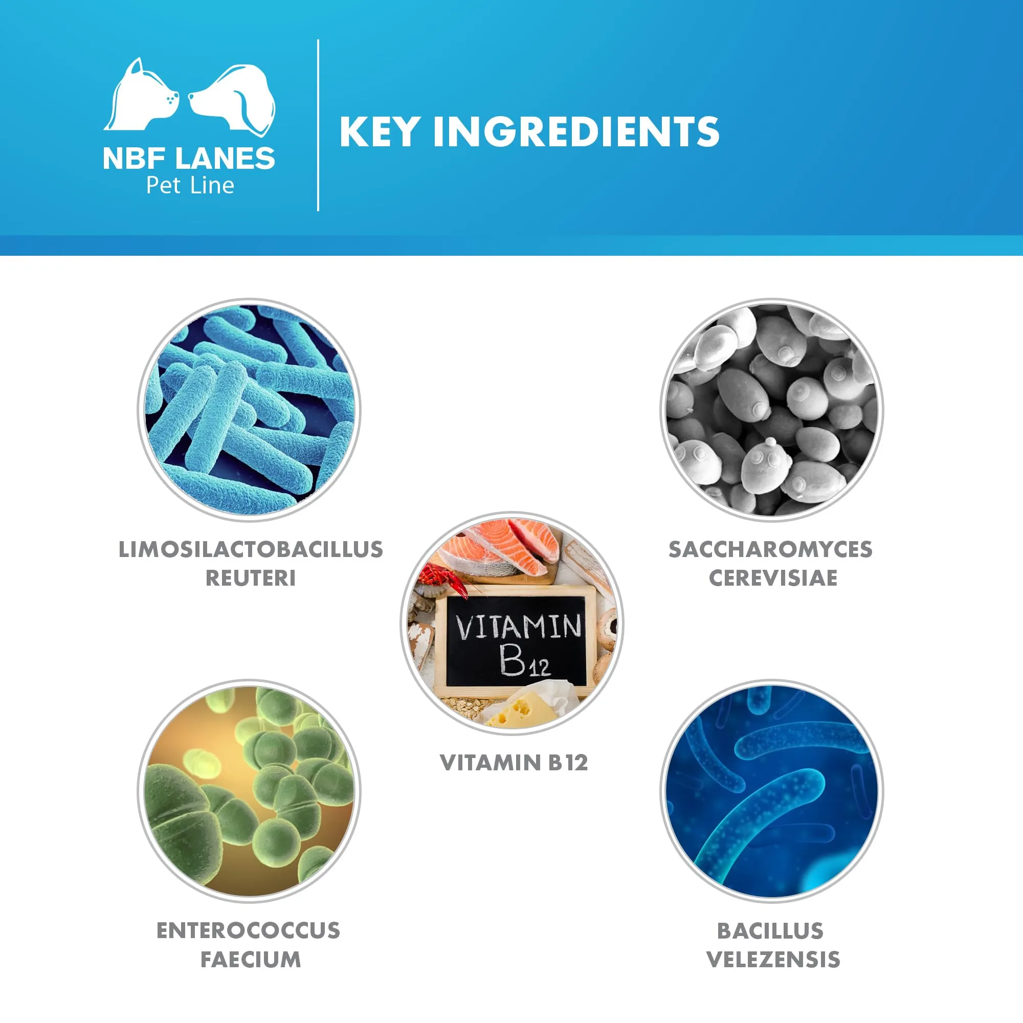 NBF Lanes Reuteral Pet Cane, 30 Capsule, Probiotico per la Flora Intestinale dei Cani - immagine 5