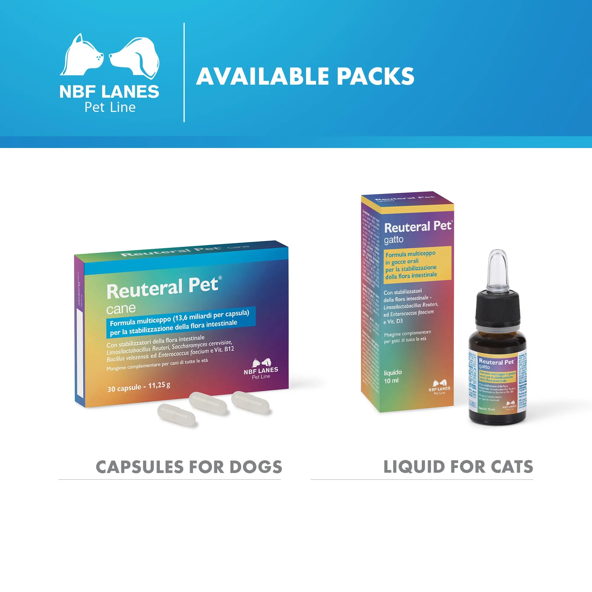 NBF Lanes Reuteral Pet Cane, 30 Capsule, Probiotico per la Flora Intestinale dei Cani - immagine 6
