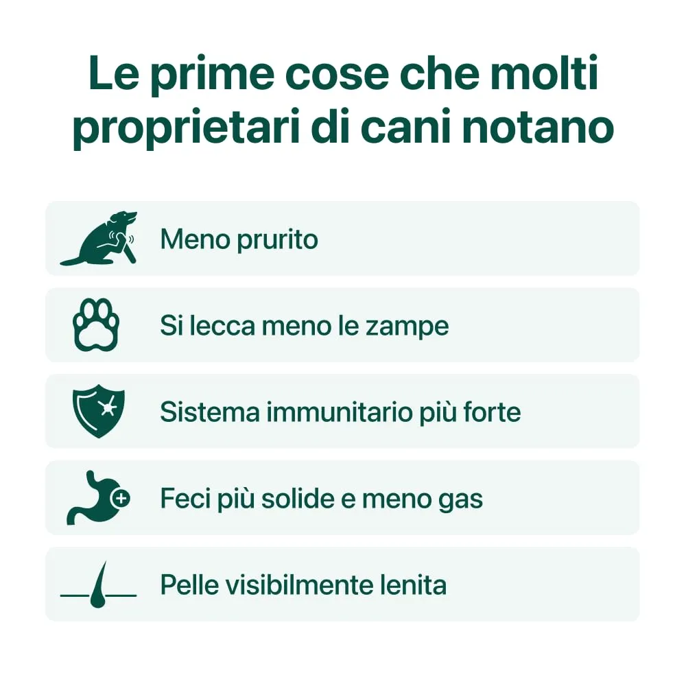 DogSuppy Sollievo Prurito Probiotici per Cani, Supporto Intestinale e Immunitario, 60 Integratori - immagine 3