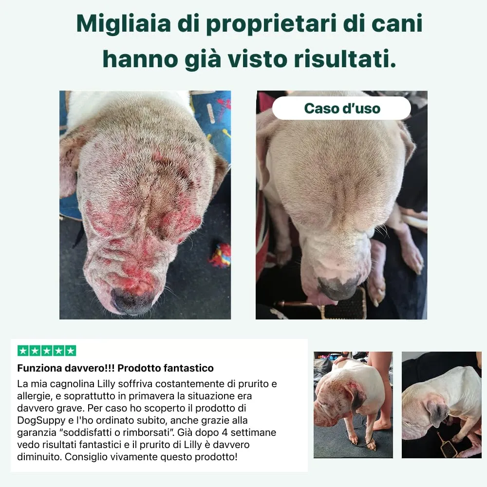DogSuppy Sollievo Prurito Probiotici per Cani, Supporto Intestinale e Immunitario, 60 Integratori - immagine 5