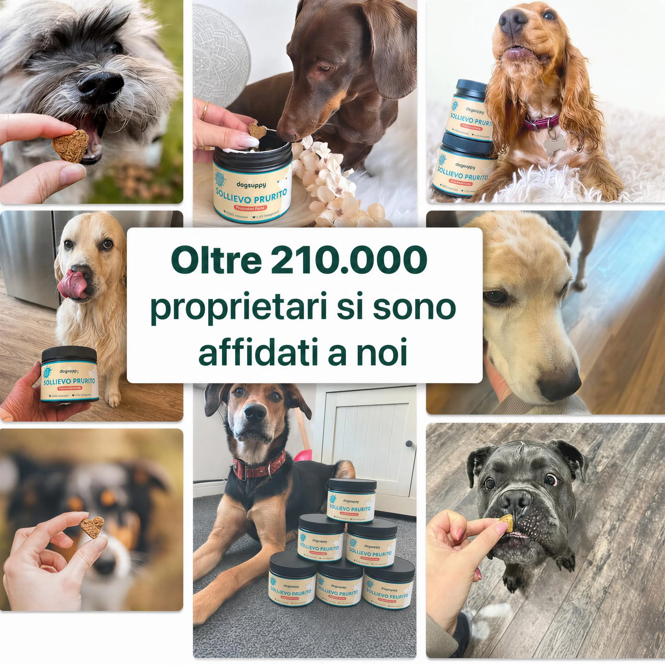 DogSuppy Sollievo Prurito Probiotici per Cani, Supporto Intestinale e Immunitario, 60 Integratori - immagine 6