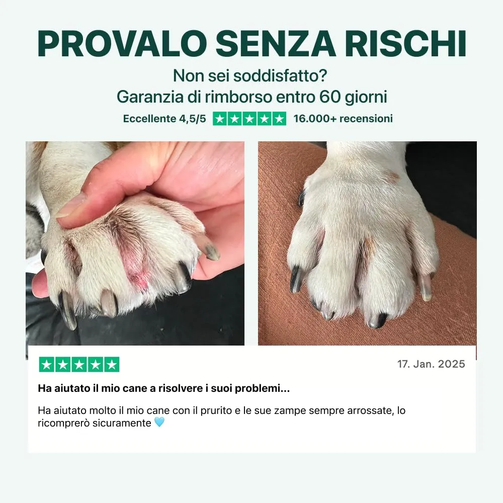 DogSuppy Sollievo Prurito Probiotici per Cani, Supporto Intestinale e Immunitario, 60 Integratori - immagine 8