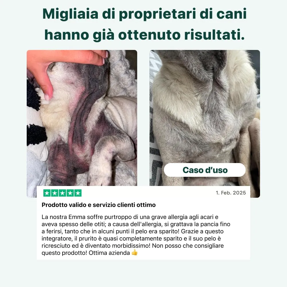 DogSuppy Sollievo Prurito Probiotici per Cani, Supporto Intestinale e Immunitario, 60 Integratori - immagine 9