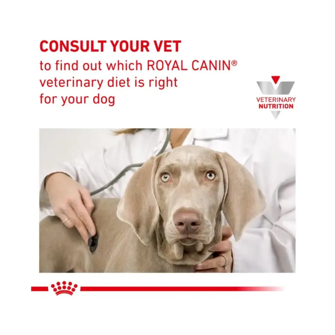 Royal Canin Veterinary Gastrointestinal Low Fat Mousse for Dogs, 12 x 200 g - immagine 7