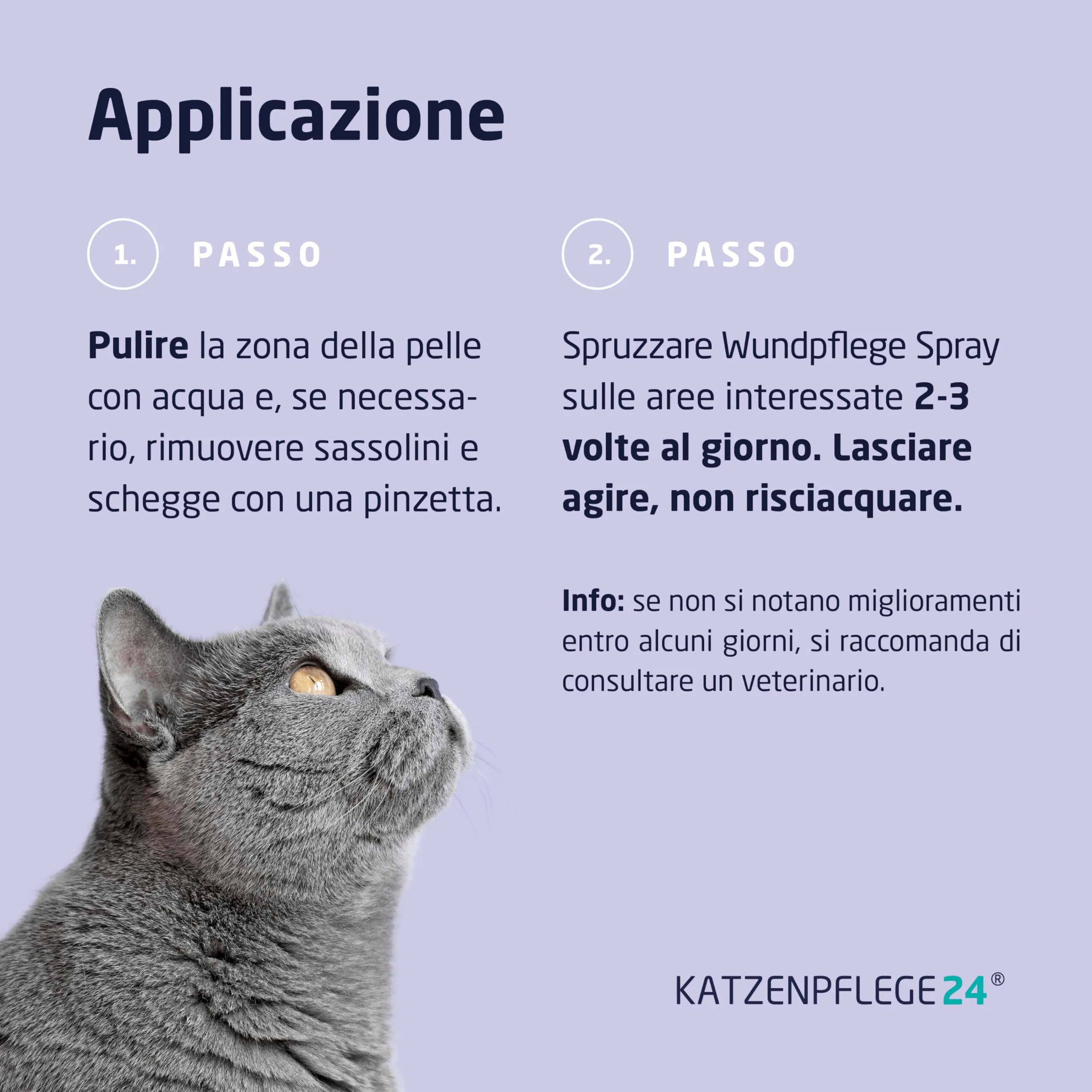 KATZENPFLEGE24 Octenidin Spray Cicatrizzante Ferite per Gatti, 125ml - immagine 4