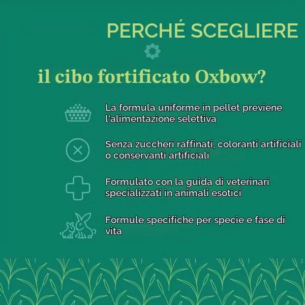 Oxbow Essentials Cibo per cincillà, 1,5 kg - immagine 3