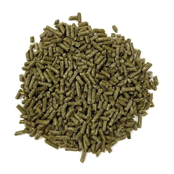 Oxbow Essentials Cibo per cincillà, 1,5 kg - immagine 8
