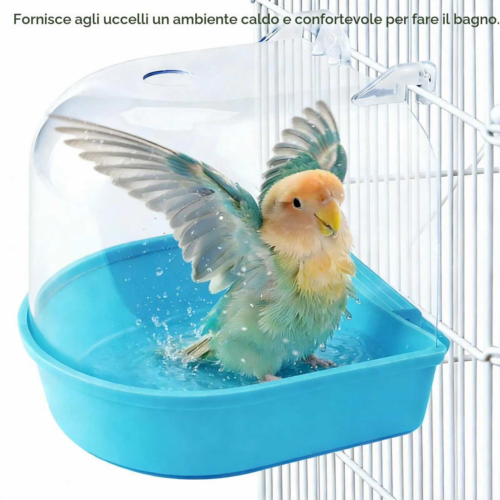 HO-SFSM Vasca da Bagno Sospesa per Uccelli - immagine 4