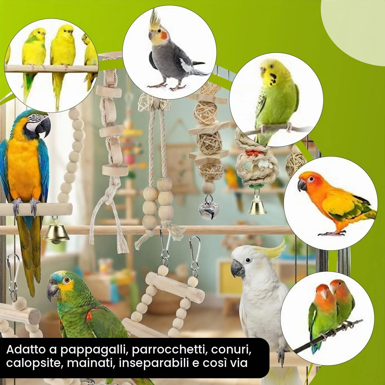 Dexpally Set di 9 Giochi in Legno Naturale per Pappagalli con Altalena, Scala e Campanella - immagine 6