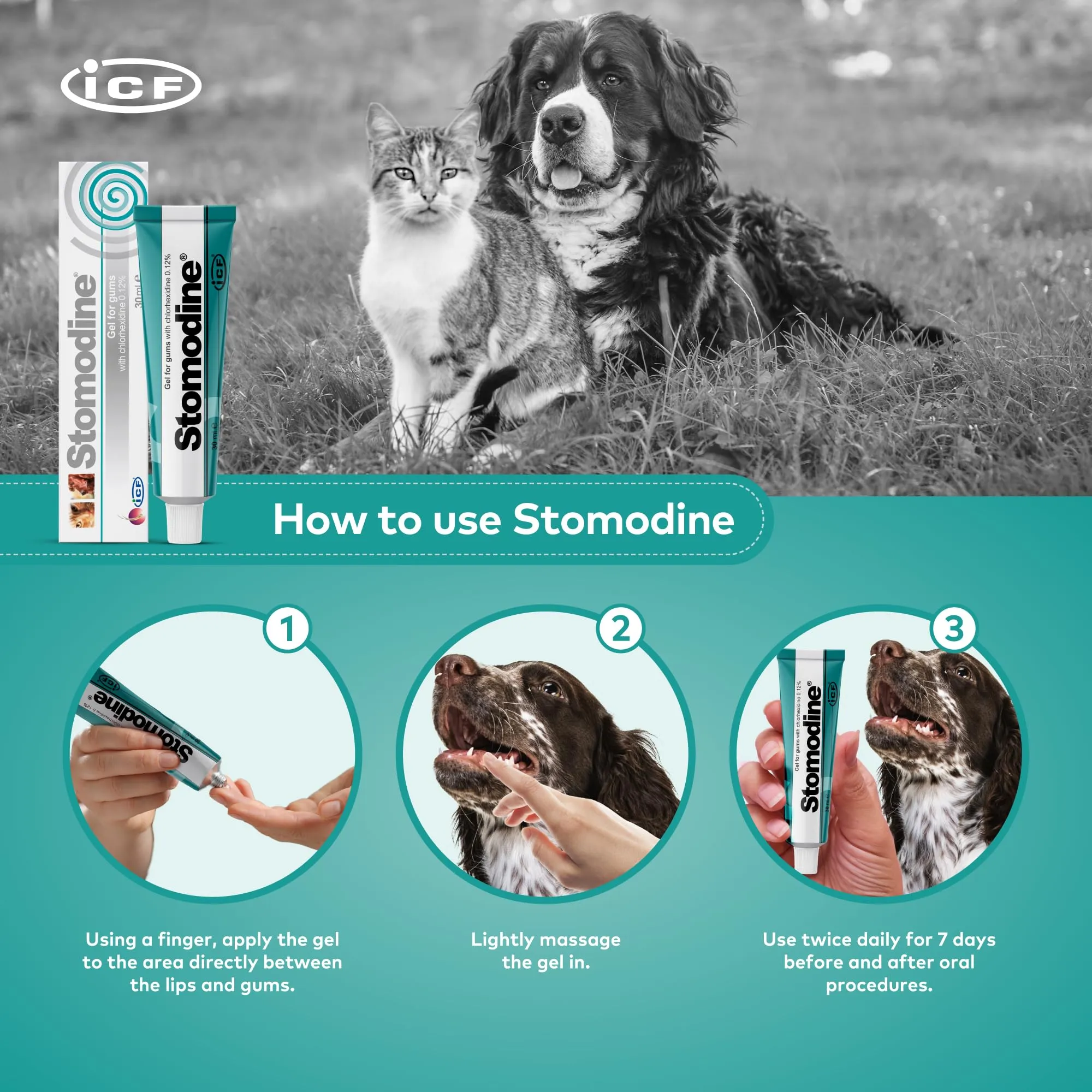 ICF Stomodyne Oral Hygiene Gel 30 ml - immagine 3