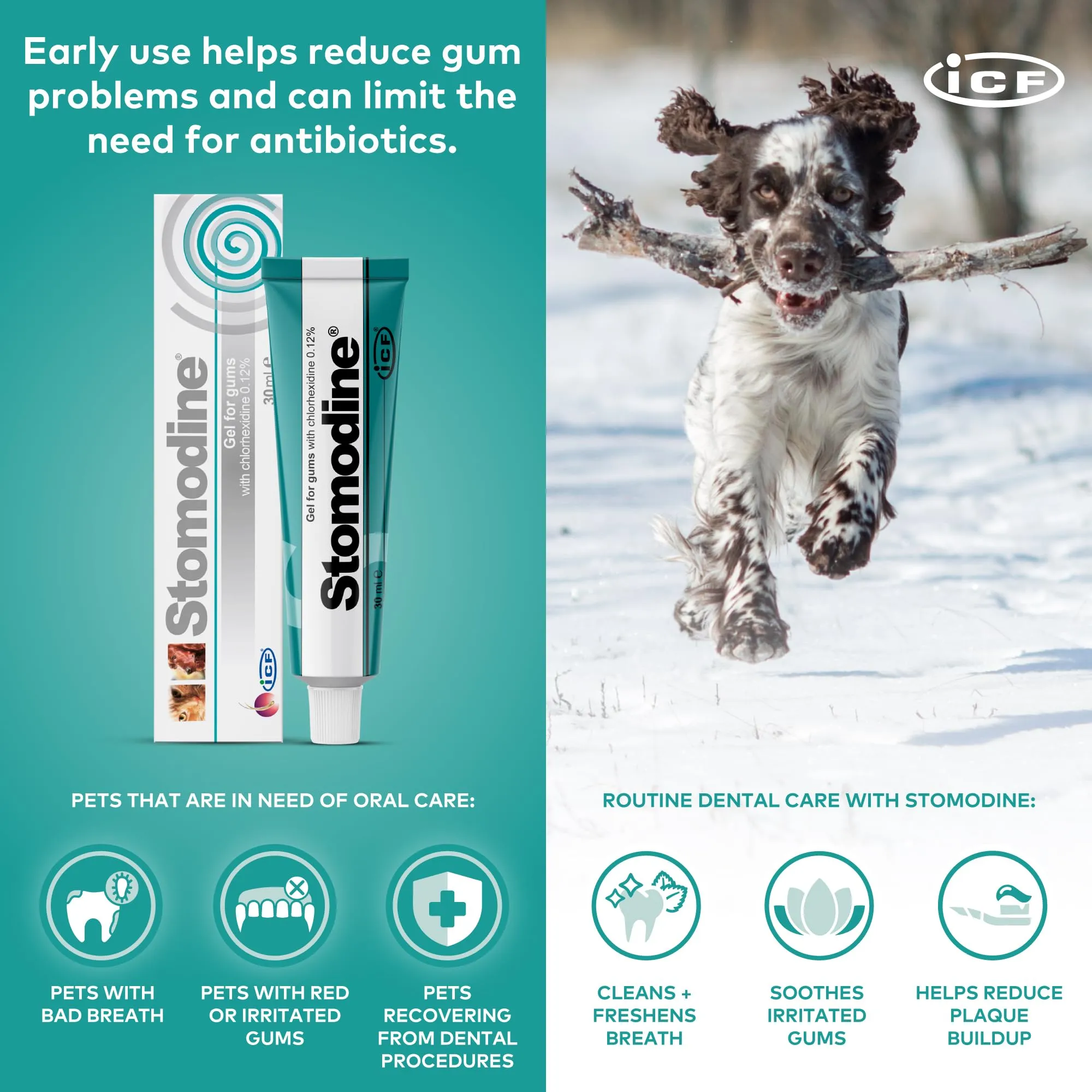 ICF Stomodyne Oral Hygiene Gel 30 ml - immagine 5