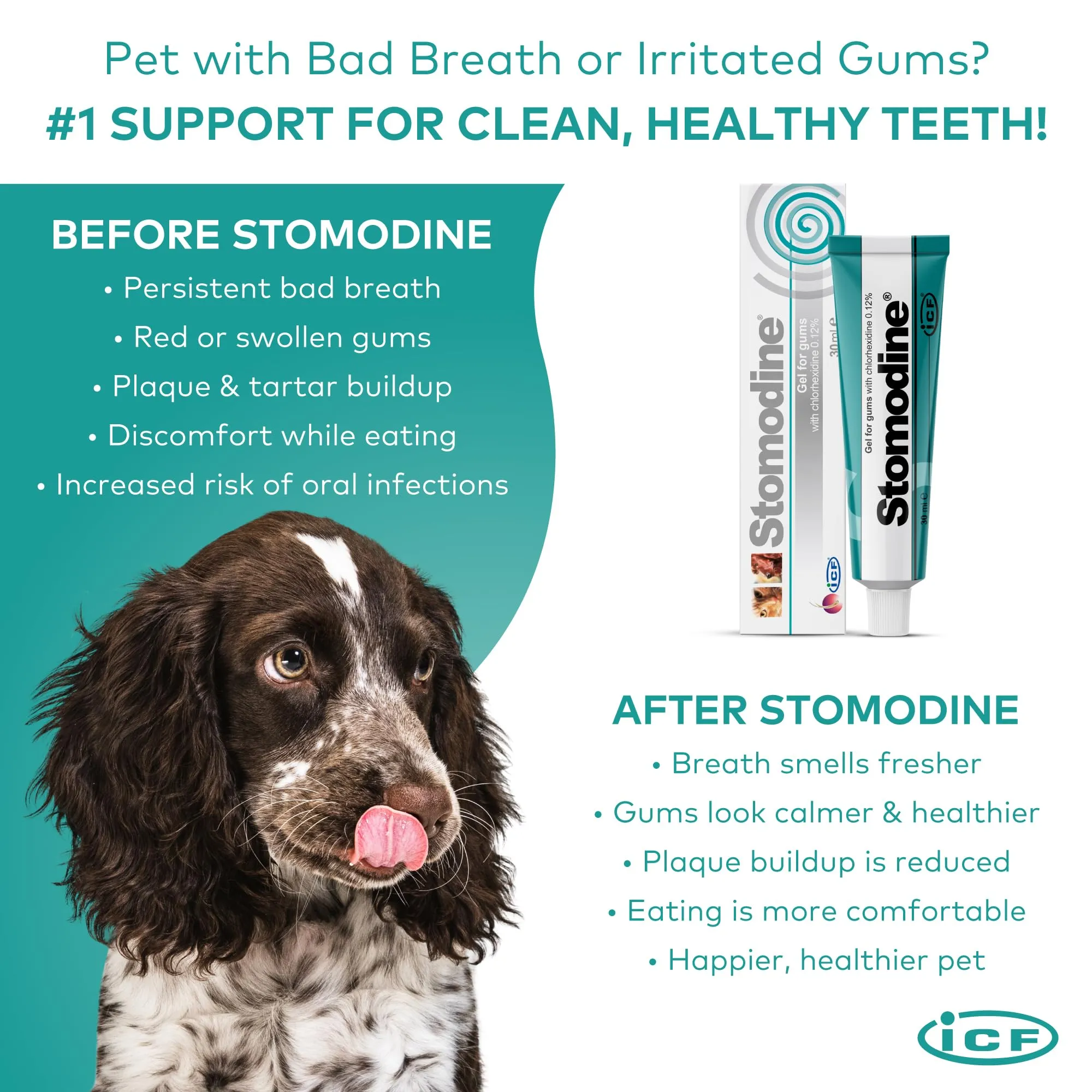 ICF Stomodyne Oral Hygiene Gel 30 ml - immagine 7