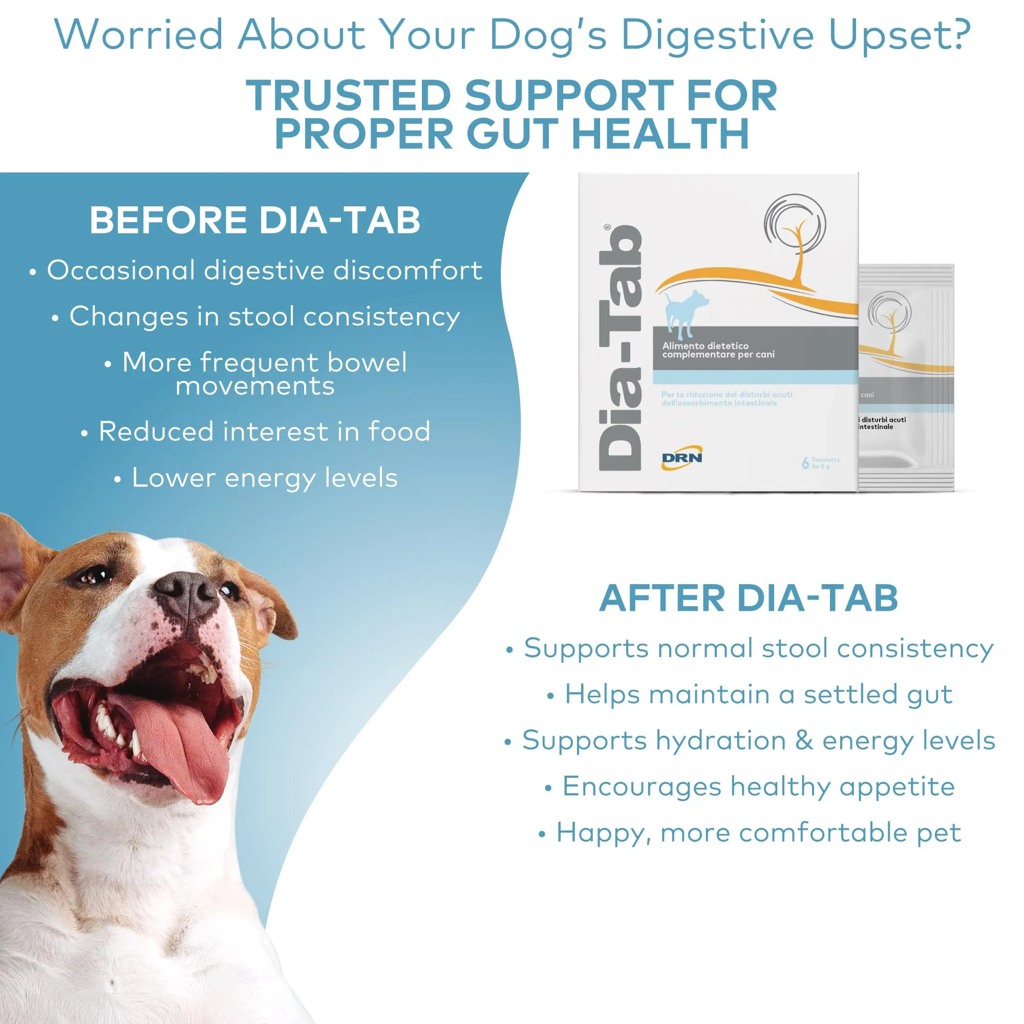 DRN Dia-Tab Integratore Intestinale per Cani, 6 Tavolette da 5 g - immagine 6