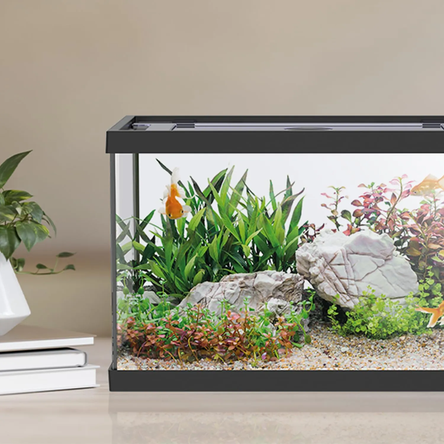 Funhobby Italia Srl Acquario in Vetro ONE Nero 20 Litri con Accessori - immagine 7
