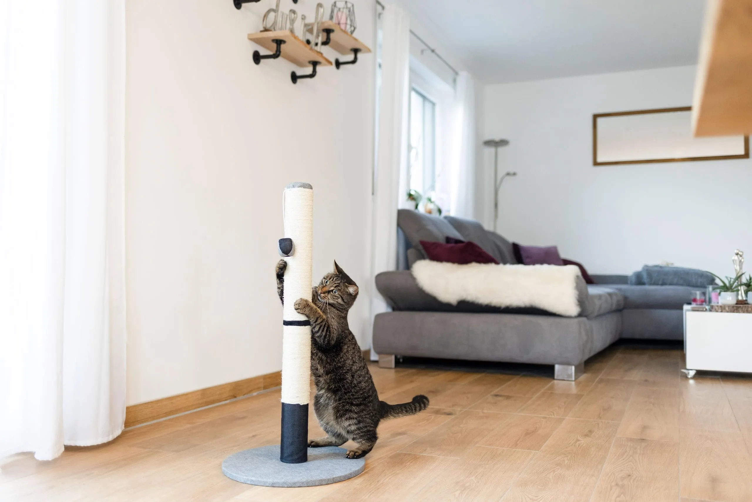 Kerbl Pet Opal Pro Tiragraffi in Sisal Naturale, 40x40x80cm, Grigio/Nero - immagine 3