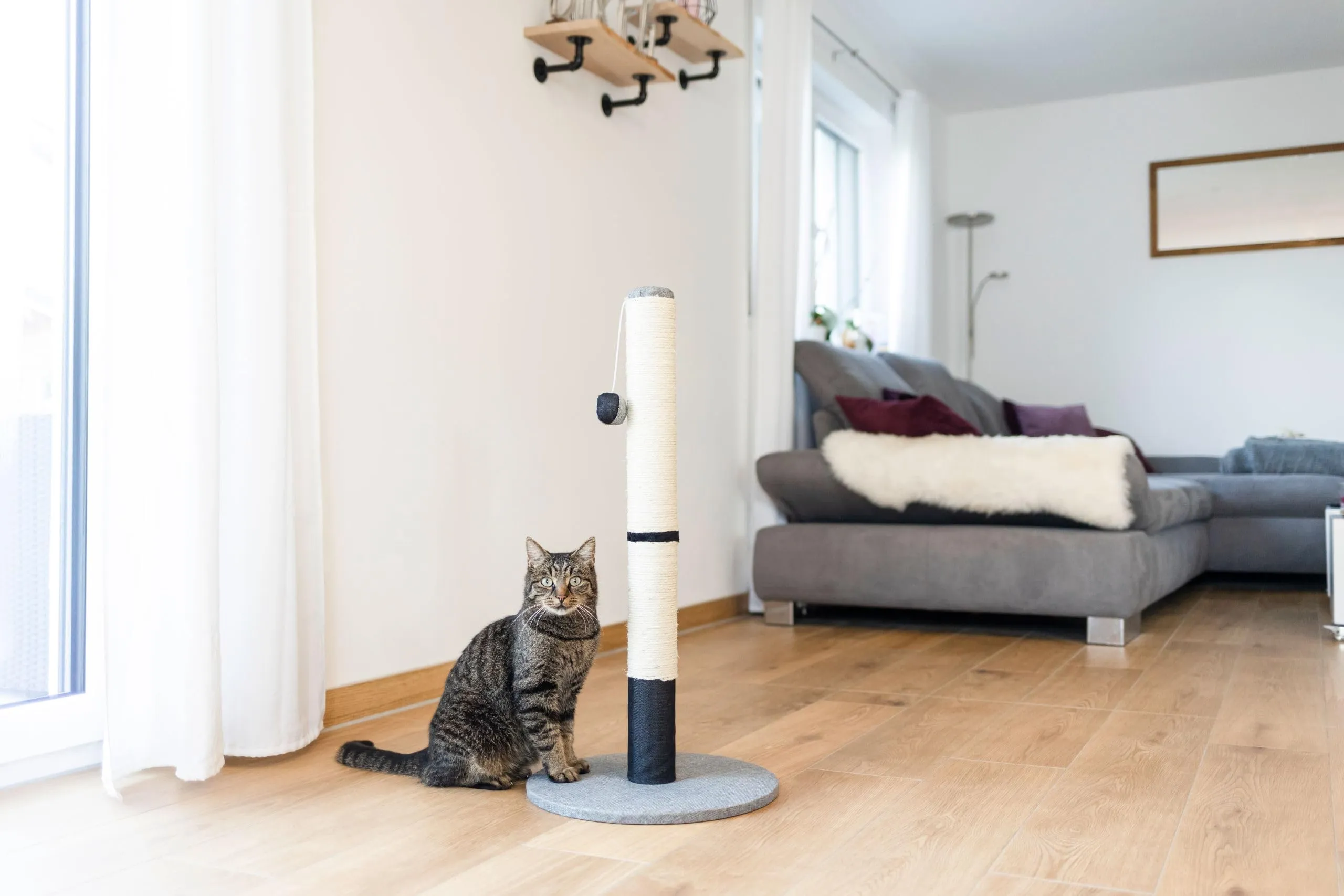 Kerbl Pet Opal Pro Tiragraffi in Sisal Naturale, 40x40x80cm, Grigio/Nero - immagine 6