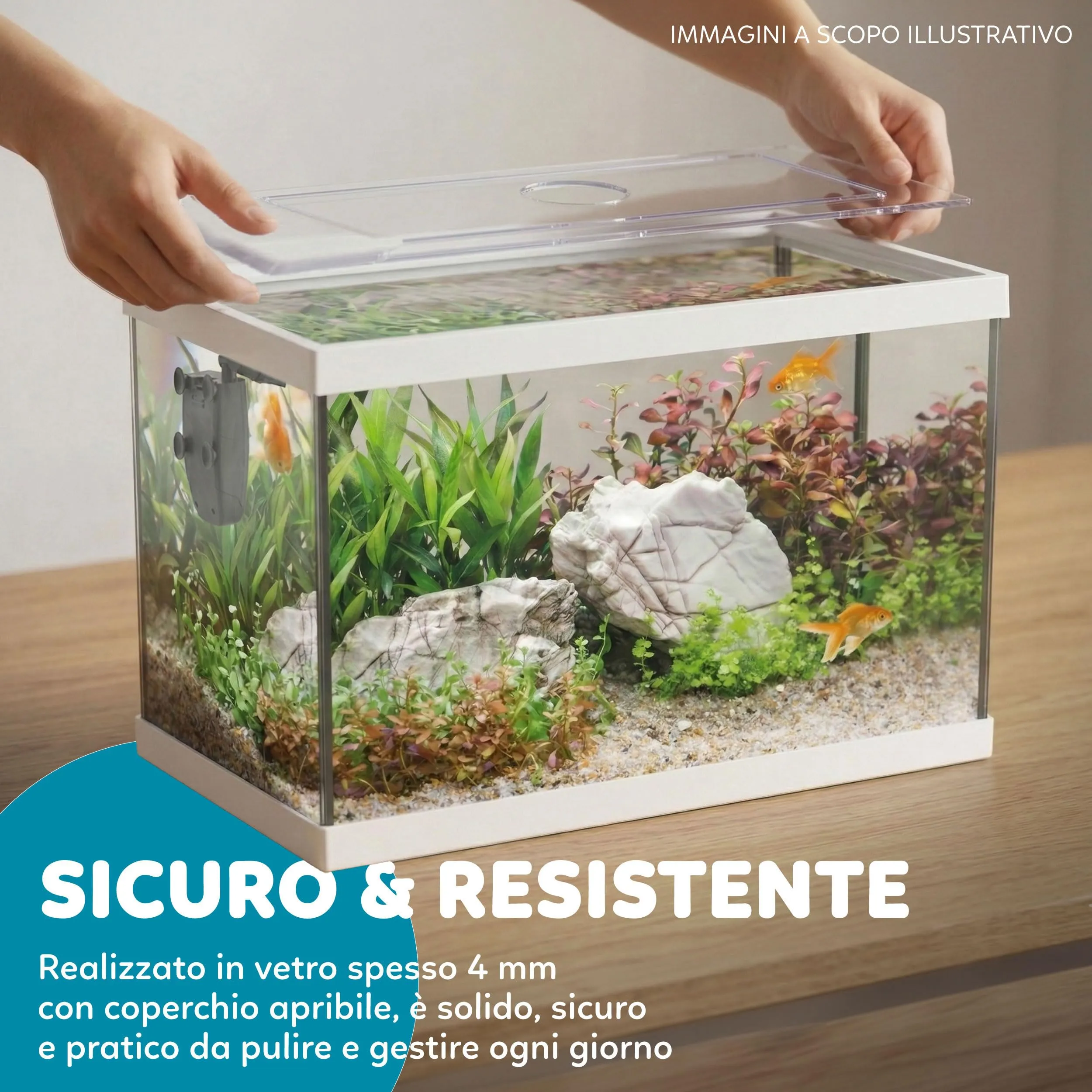 AQPET One Mini Acquario in vetro Bianco 20 litri con filtro interno, sabbia, pianta decorativa e sfondo, 36x22x26 cm - immagine 6