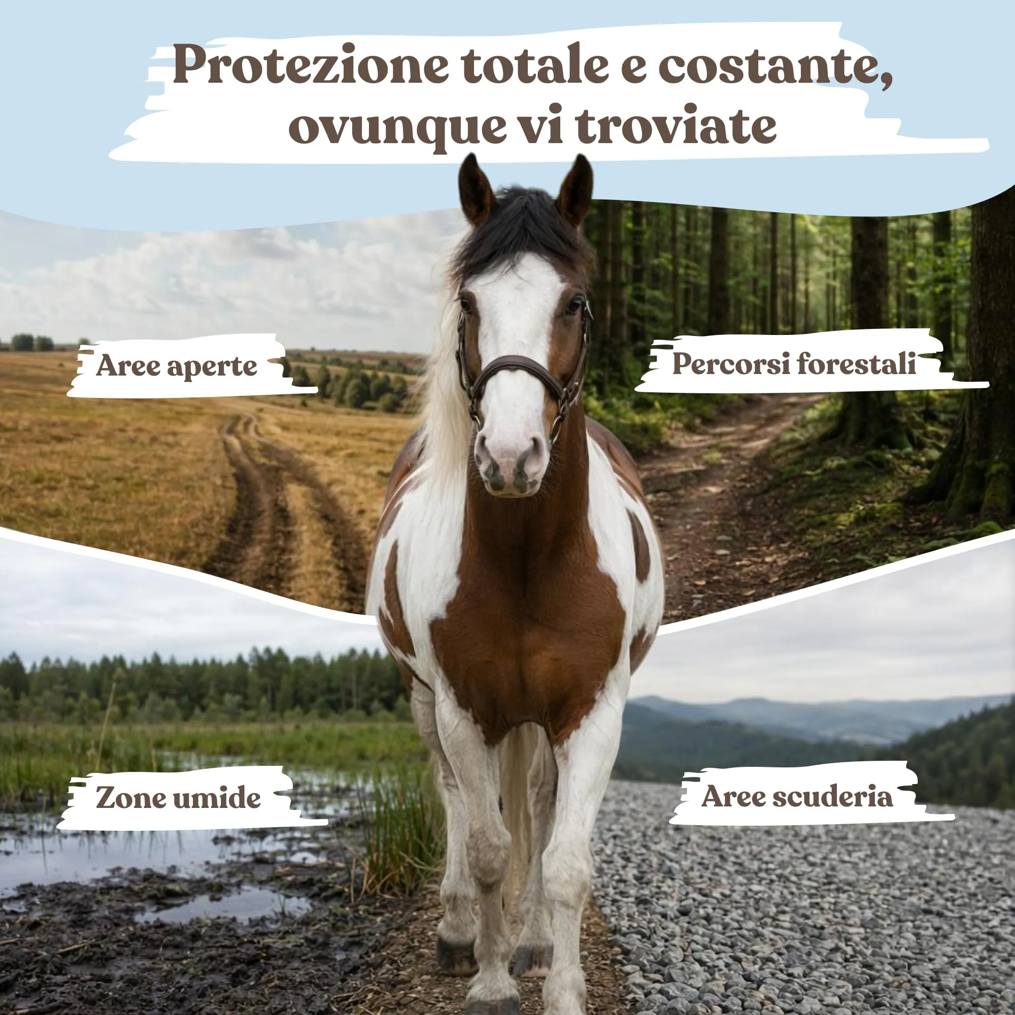 Amusi Olio di Neem per Cavalli Spray, Citronella e Geraniolo, 750 ml - immagine 5