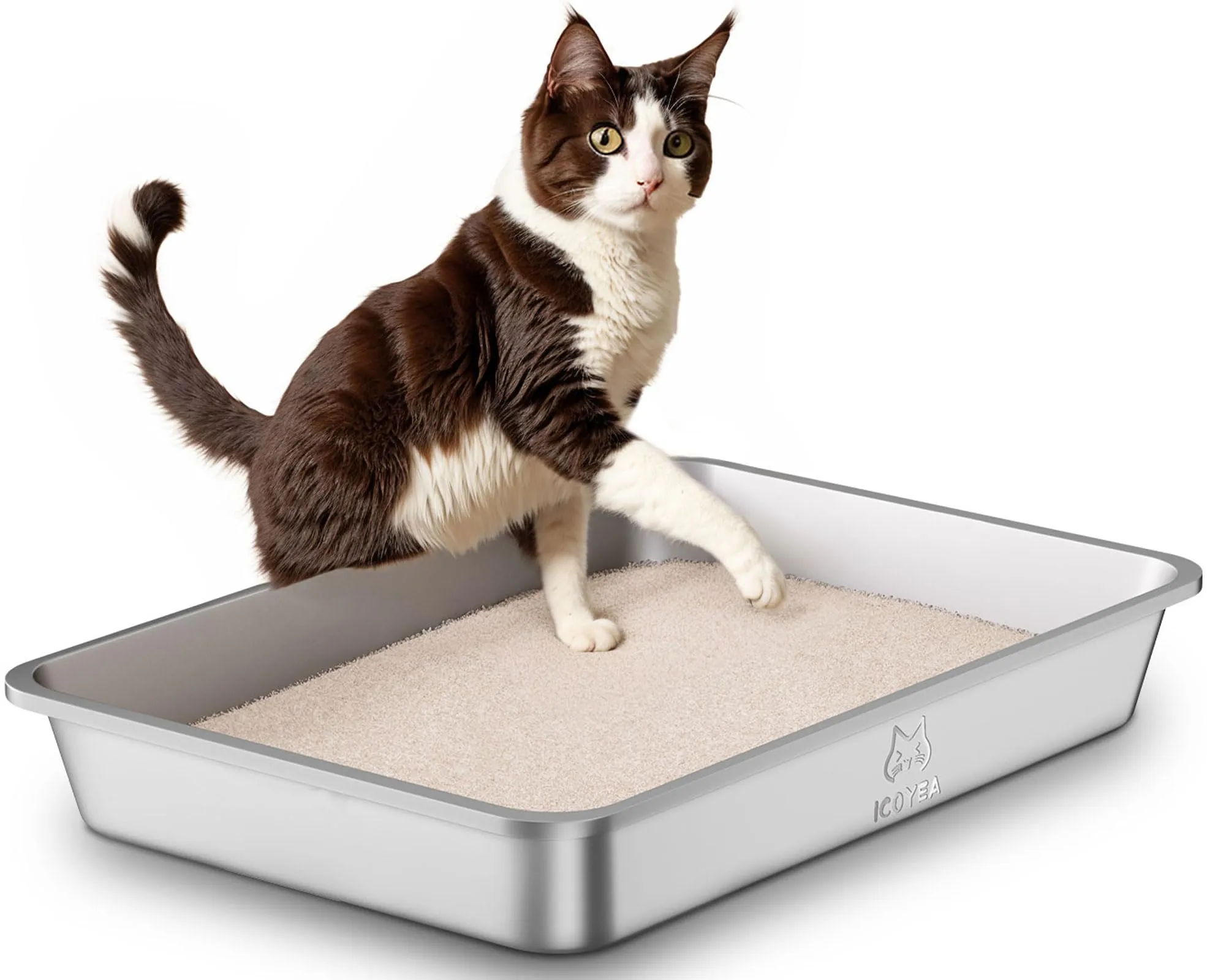 ICOYEA Lettiera in Acciaio Inox per Gatti e Piccoli Animali, Serie ValuePro, 60x40x10 cm - immagine 1