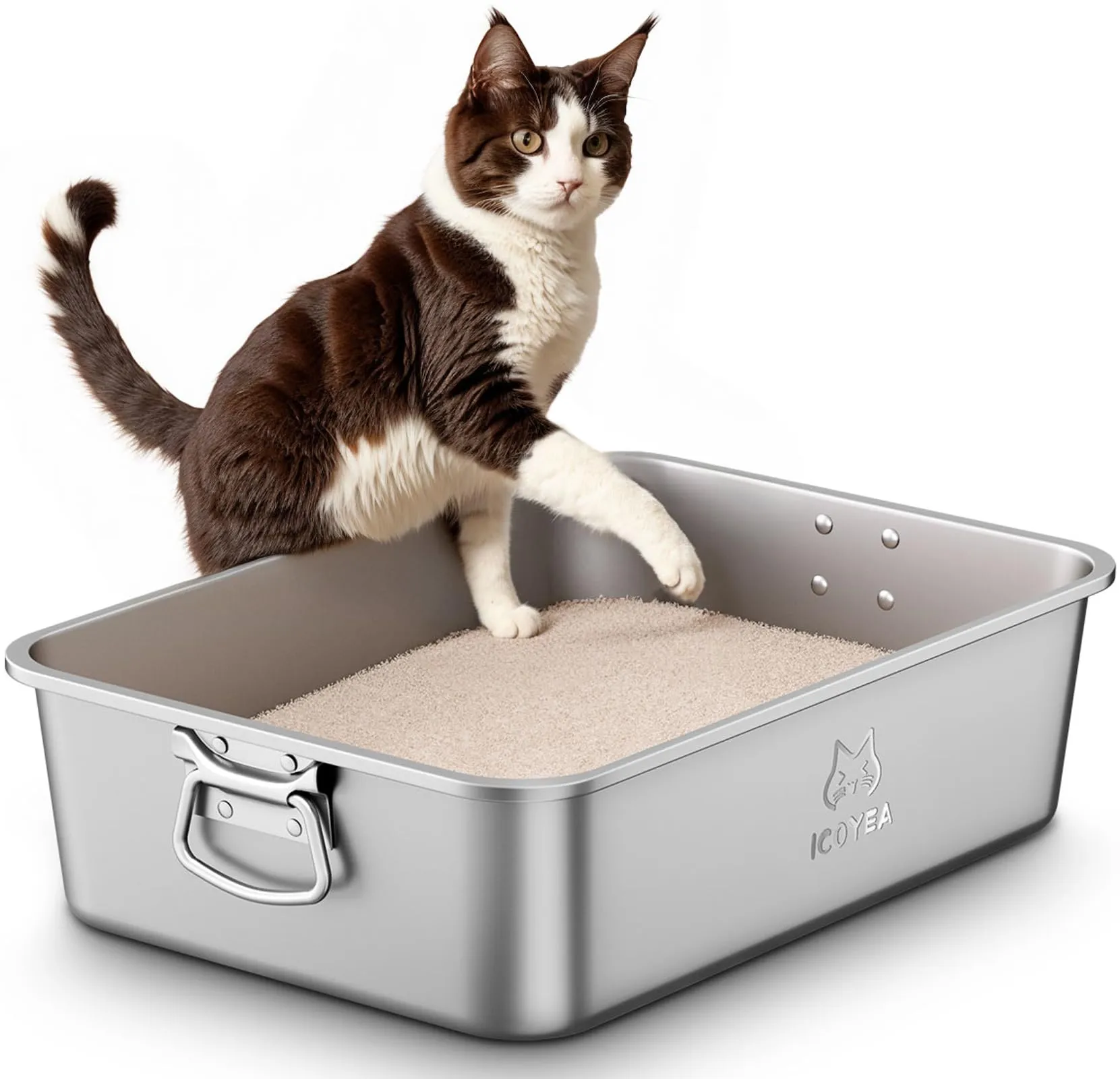 ICOYEA Lettiera in Acciaio Inox per Gatti e Piccoli Animali, Serie EasyLift con Maniglie e Paletta, 45x35x15 cm - immagine 1