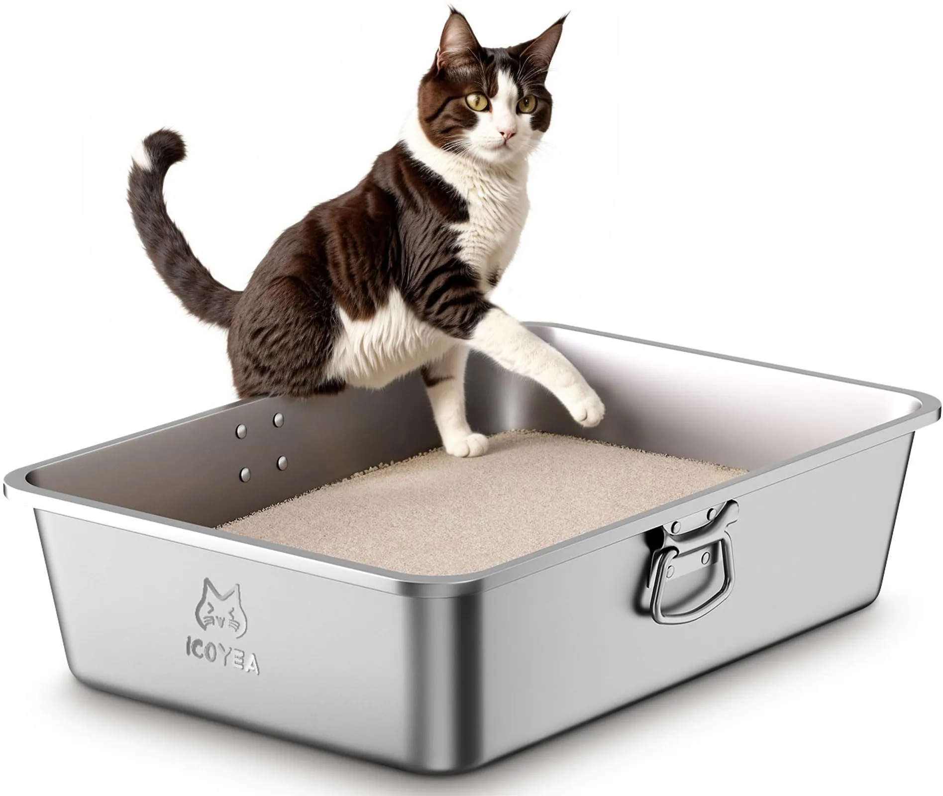 ICOYEA Lettiera in Acciaio Inox per Gatti e Piccoli Animali, Serie EasyLift con Maniglie e Paletta, 60x40x15 cm - immagine 1