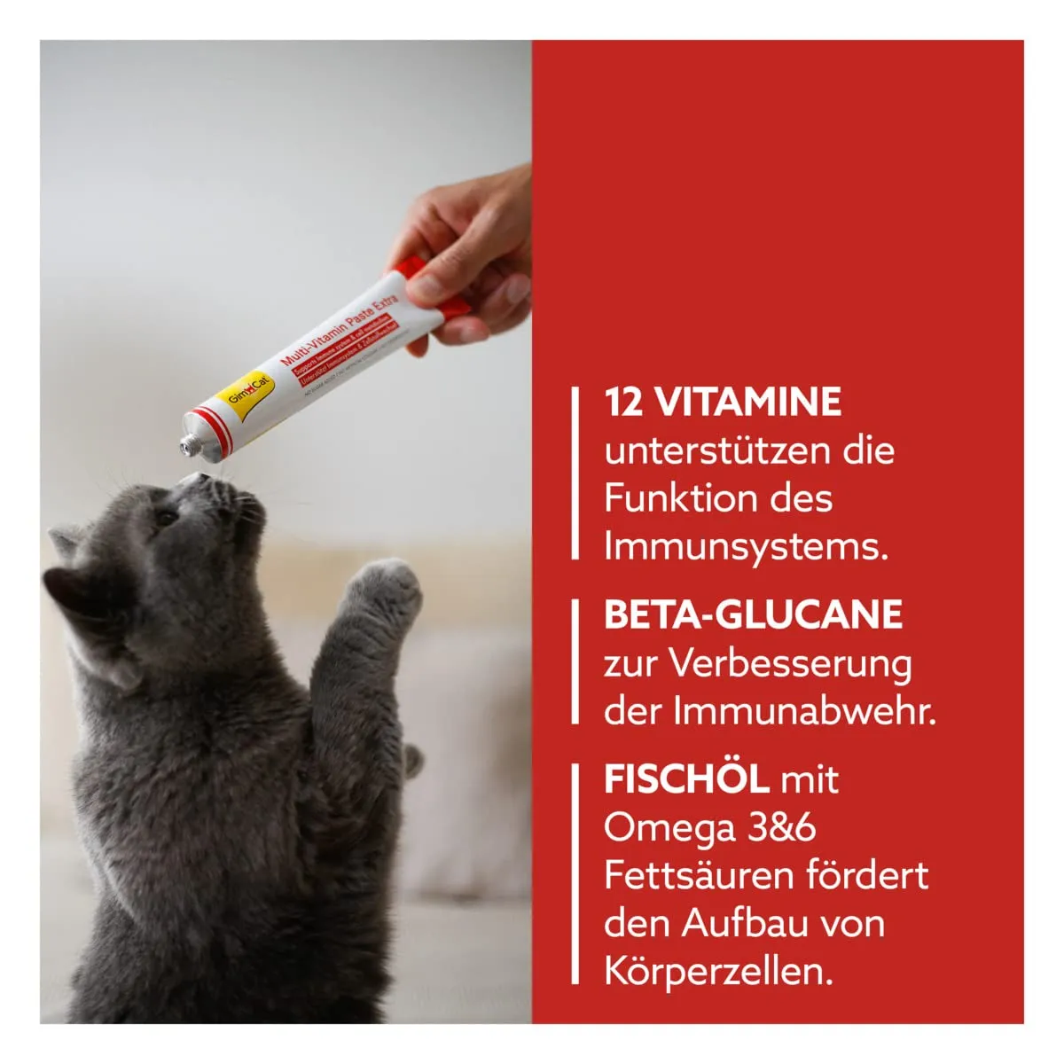 GimCat Multi-Vitamin Pasta Extra Snack per Gatti con Beta-Glucano e Omega 3/6, 200 g - immagine 3