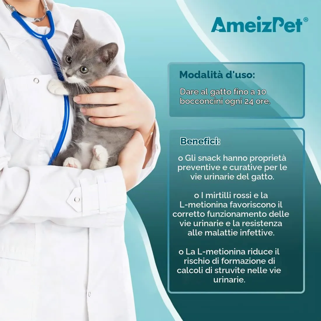 AmeizPet Biscotti Vie Urinarie per Gatti, 65 g - immagine 4